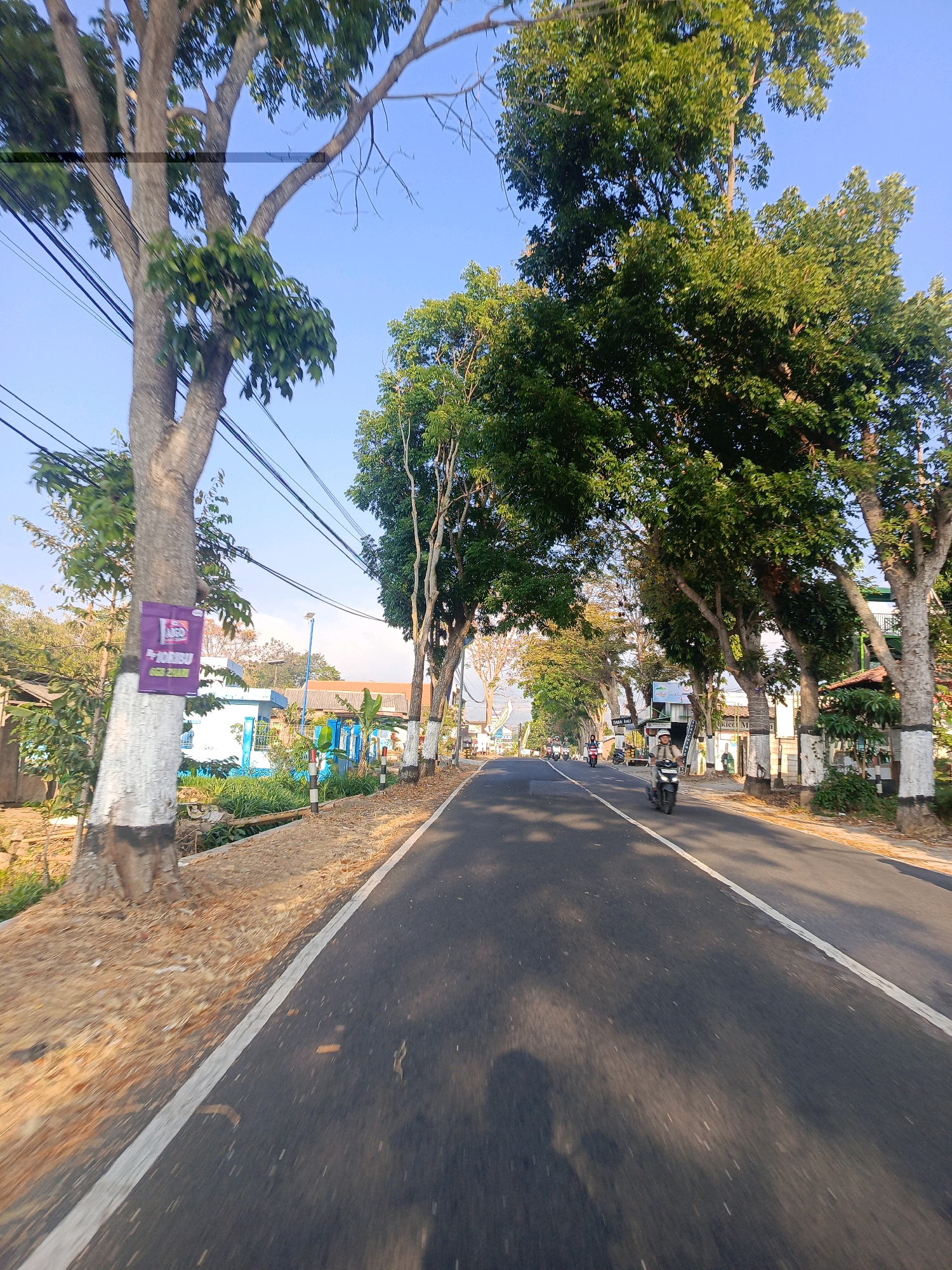 A motorcycle is being ridden down a paved road lined with trees in Kalang, Indonesia. The trees on either side of the road have white paint around their bases. The sky is clear and blue. There are power lines running overhead. A shadow of a person is visible on the road, cast by the sun. The road is a dark gray asphalt with a white line marking the edge. The area to the left of the road appears to be a grassy embankment with some vegetation. Buildings and other structures are visible in the background. The scene suggests an outdoor, daytime environment.
