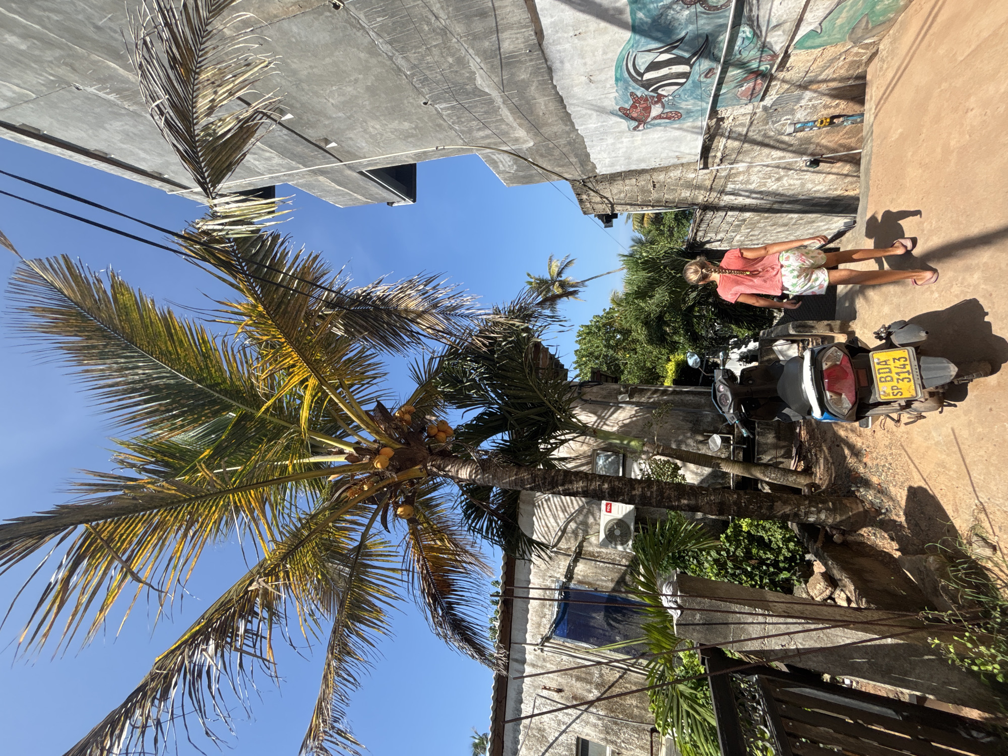 The image shows a sunny street scene in Thalaramba, Sri Lanka. A palm tree laden with coconuts dominates the left side of the frame, its fronds reaching towards a clear blue sky. Concrete buildings line the street, one with graffiti art. A young woman in a coral top and floral shorts stands next to a parked scooter, which has a license plate reading "BDA SP 3143".