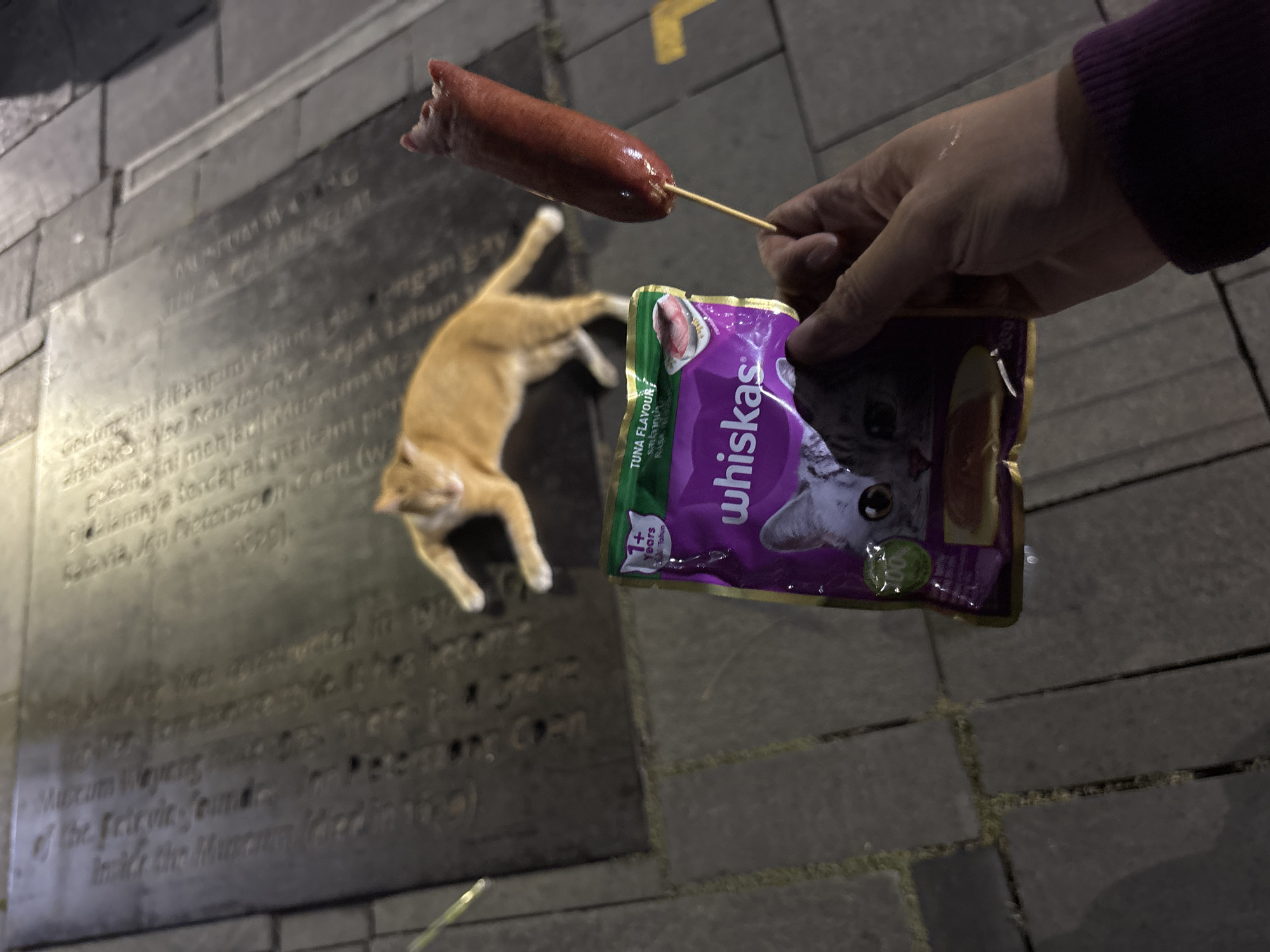 In the city of West Jakarta, Indonesia, a ginger cat lies on a stone-tiled surface. In the foreground, a person's hand holds a package of Whiskas cat food and a skewered sausage. The Whiskas package is purple with an image of two cats. The sausage is dark red and appears to be cooked. The background shows a textured stone surface with inscriptions, possibly a memorial plaque. The lighting suggests it is nighttime or dusk.