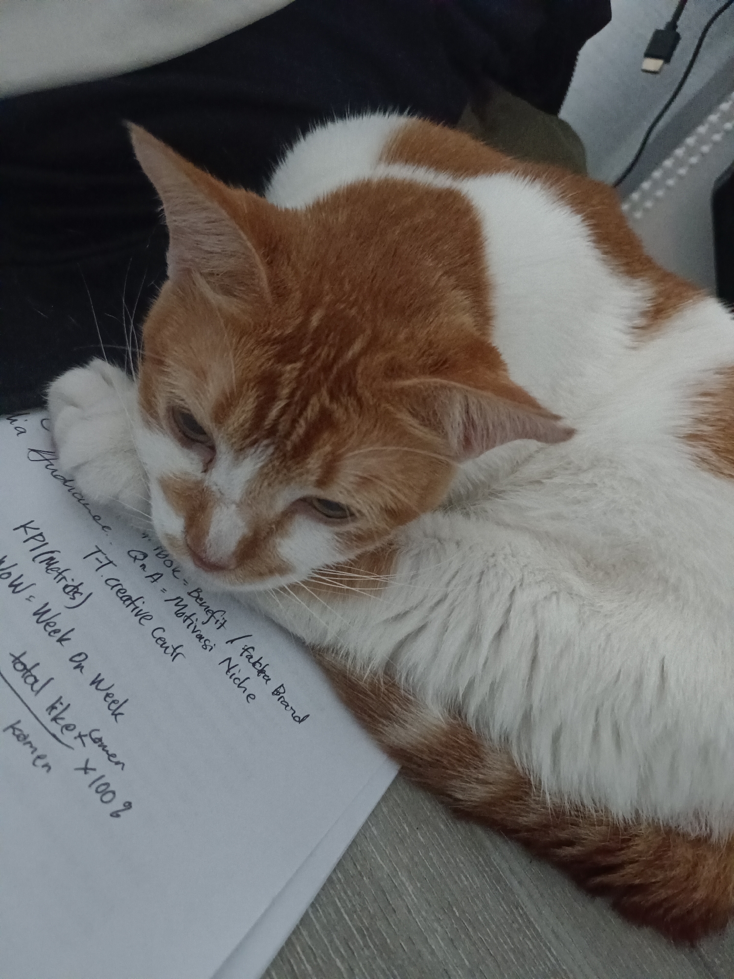 An orange and white cat rests its head on a piece of paper with handwritten notes. The cat's eyes are partially closed, and its expression is relaxed. The paper contains a list of items, including "KPI (Metrics)", "WoW = Week On Week", and "total like x komen x 100 %". The background is dark and slightly blurred, with a cable visible on the right side of the image. The scene appears to be indoors, possibly on a desk or table. The lighting is soft, suggesting an indoor setting during the day or with artificial light. The image quality is adequate, with good detail on the cat's fur and the handwriting. The cat's position suggests it is comfortable and undisturbed.