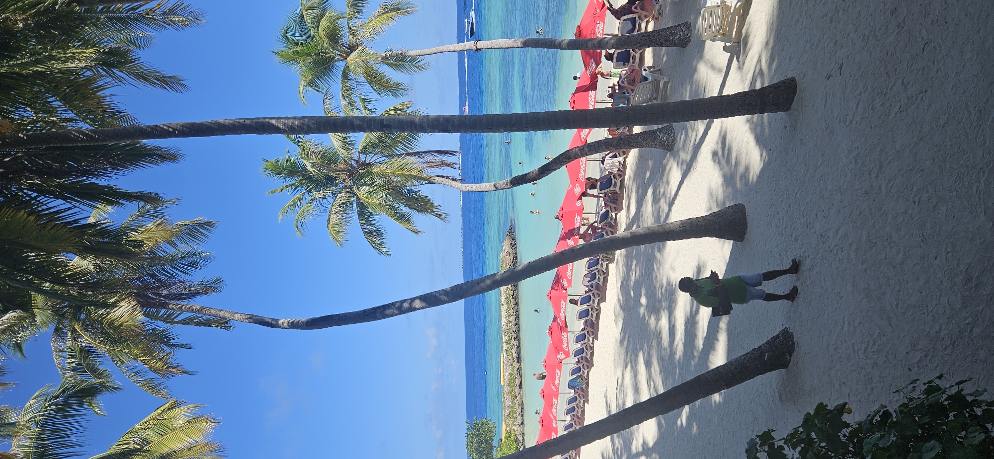 The image depicts a tropical beach scene in Maafushi, Maldives, on a clear day with a bright blue sky. The foreground is dominated by the sandy beach and several tall palm trees, casting shadows on the sand. A person wearing a green shirt and blue shorts is walking on the beach, looking down at a phone in their hand.
In the middle ground, a row of red beach umbrellas with Coca-Cola branding is set up, providing shade for numerous lounge chairs. Several people are seated on the chairs or standing nearby. The water beyond the beach is a striking turquoise, transitioning to a deeper blue on the horizon. A rocky breakwater is visible in the shallow water, and a few people are swimming or wading.
In the background, the ocean stretches out, with a few boats visible on the water, including a white speedboat. The overall impression is one of a relaxing beach resort environment.
