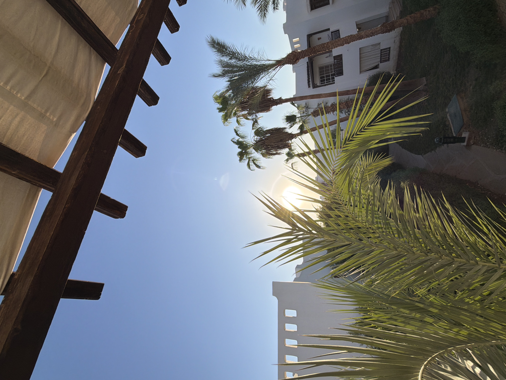 The image captures a serene morning scene in Sharm El Sheikh, Egypt, with the sun low in the sky, casting a warm glow. In the foreground, lush green palm fronds, illuminated by the sunlight, partially obscure the view. Behind the foliage, a white building with distinct square windows is visible, typical of architecture in the region. Several palm trees stand tall between the building and the foreground fronds, their silhouettes standing out against the clear blue sky. The setting suggests a resort or hotel environment, with manicured green grass and a paved pathway leading towards the building, hinting at outdoor amenities or common areas. The wooden beams and canopy structure at the top of the image indicate a shaded outdoor space, possibly a balcony or patio, from which the photograph was taken.