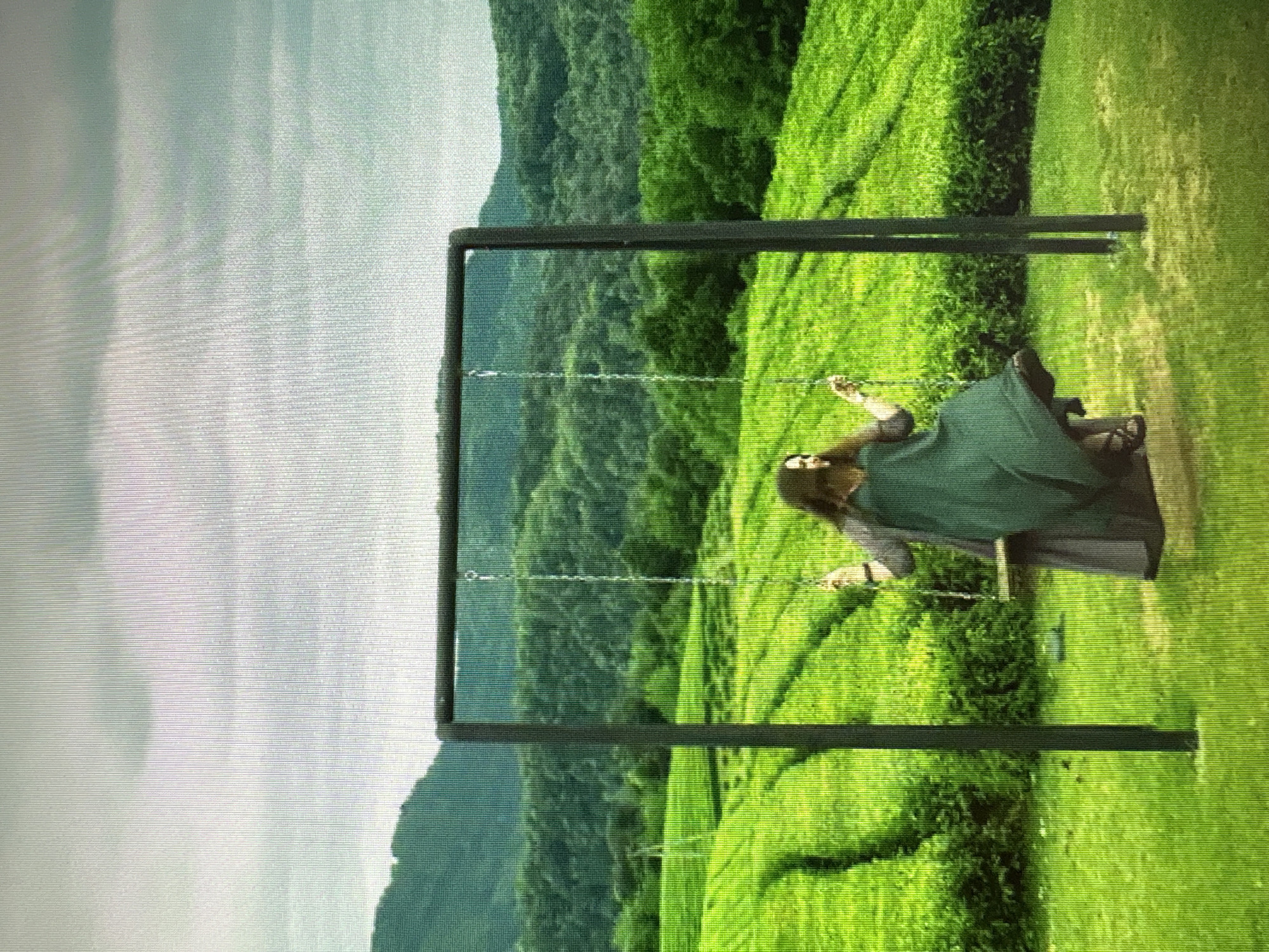 The image depicts a person on a swing set with a lush green landscape in the background. The person is wearing a long, flowing dress and is positioned in the center of the frame, in mid-swing. The swing set itself is a simple metal frame with two vertical posts and a horizontal bar from which the swing is suspended by chains. The background consists of rolling hills covered in dense green foliage, suggesting a natural or rural setting. The sky is overcast with gray clouds. The lighting is diffused, consistent with an outdoor scene under cloudy conditions. The image does not provide any specific information or context to identify it as being located in Moscow, Russia.