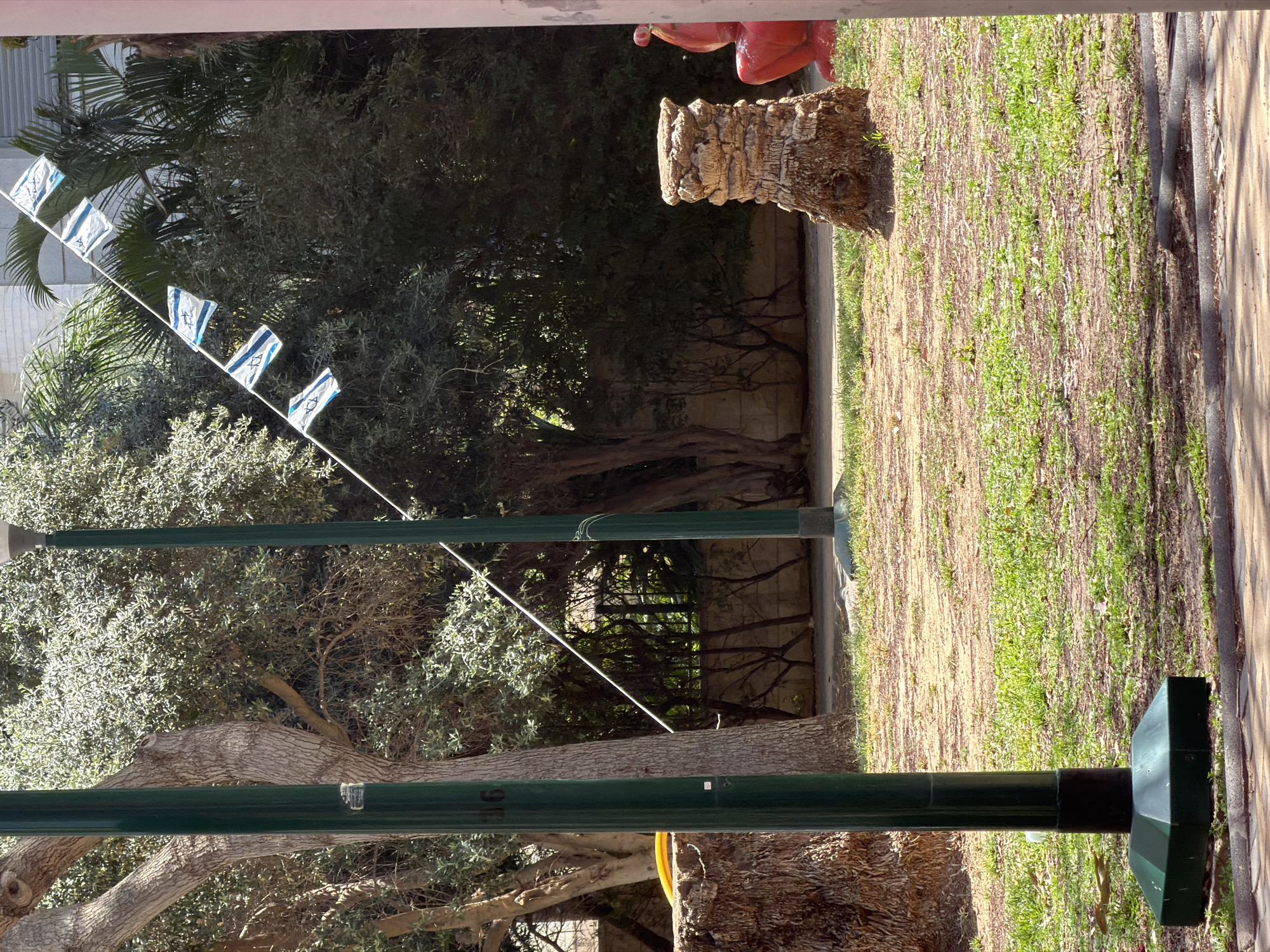 A garden scene in Kiryat Motzkin, Israel. Green metal poles support a string of small Israeli flags. Behind the poles are various trees and bushes. To the right, there is a grassy area next to a stone pathway and an ornamental tree stump.