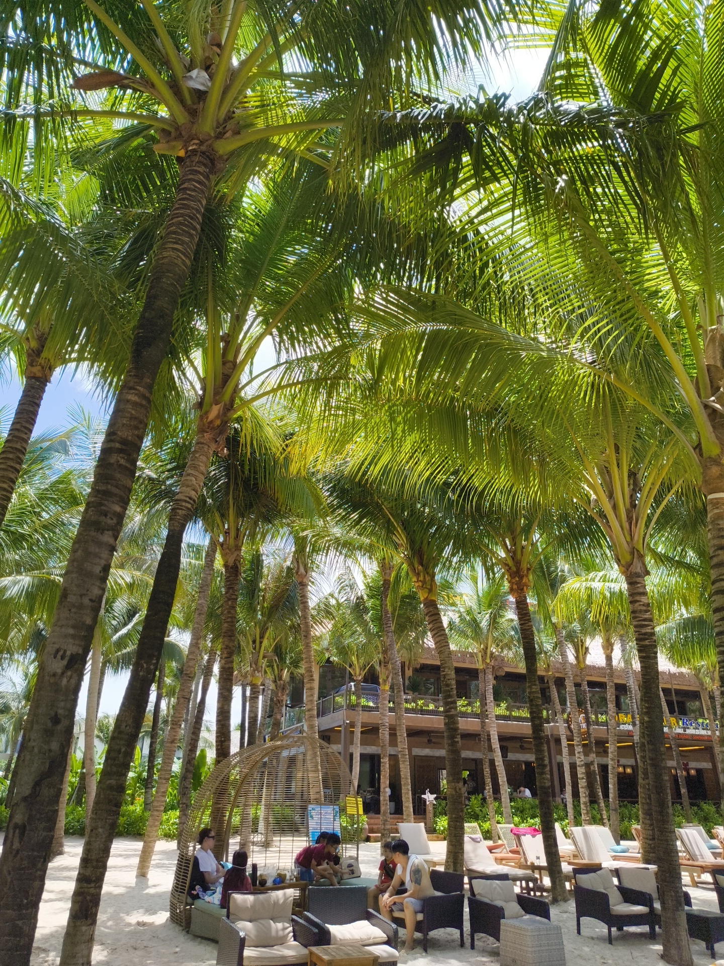 The image depicts a beach scene on Phú Quốc, Vietnam, characterized by numerous palm trees casting dappled sunlight onto a sandy area. In the foreground, several people are seated on lounge chairs and a unique, woven pod-like structure. The individuals appear to be relaxing or socializing. Further back, a multi-story building, likely a resort or restaurant, is visible amidst the foliage. The environment suggests a tropical, vacation-like setting.