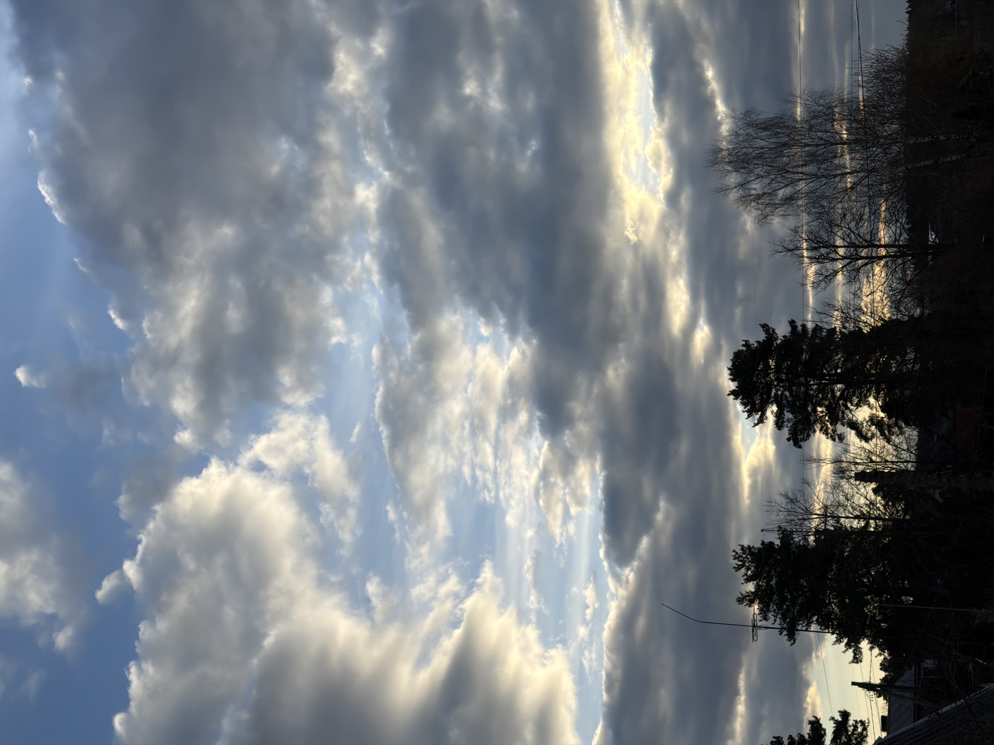 The image captures a dynamic sky in Dreiliņi, Latvia. Dominating the frame are various cloud formations, ranging from fluffy cumulus to darker, more ominous shapes, illuminated by sunlight filtering through. The sky transitions from a bright blue in the lower left to areas obscured by dense, gray clouds. In the foreground are the silhouettes of trees, some with bare branches, suggesting either winter or early spring. One or two rooftop is visible in the very bottom of the image. Power lines are strung across the sky on the right side. The time appears to be either early morning or late afternoon, judging by the angle and intensity of the light. No people or actions are visible in the shot.