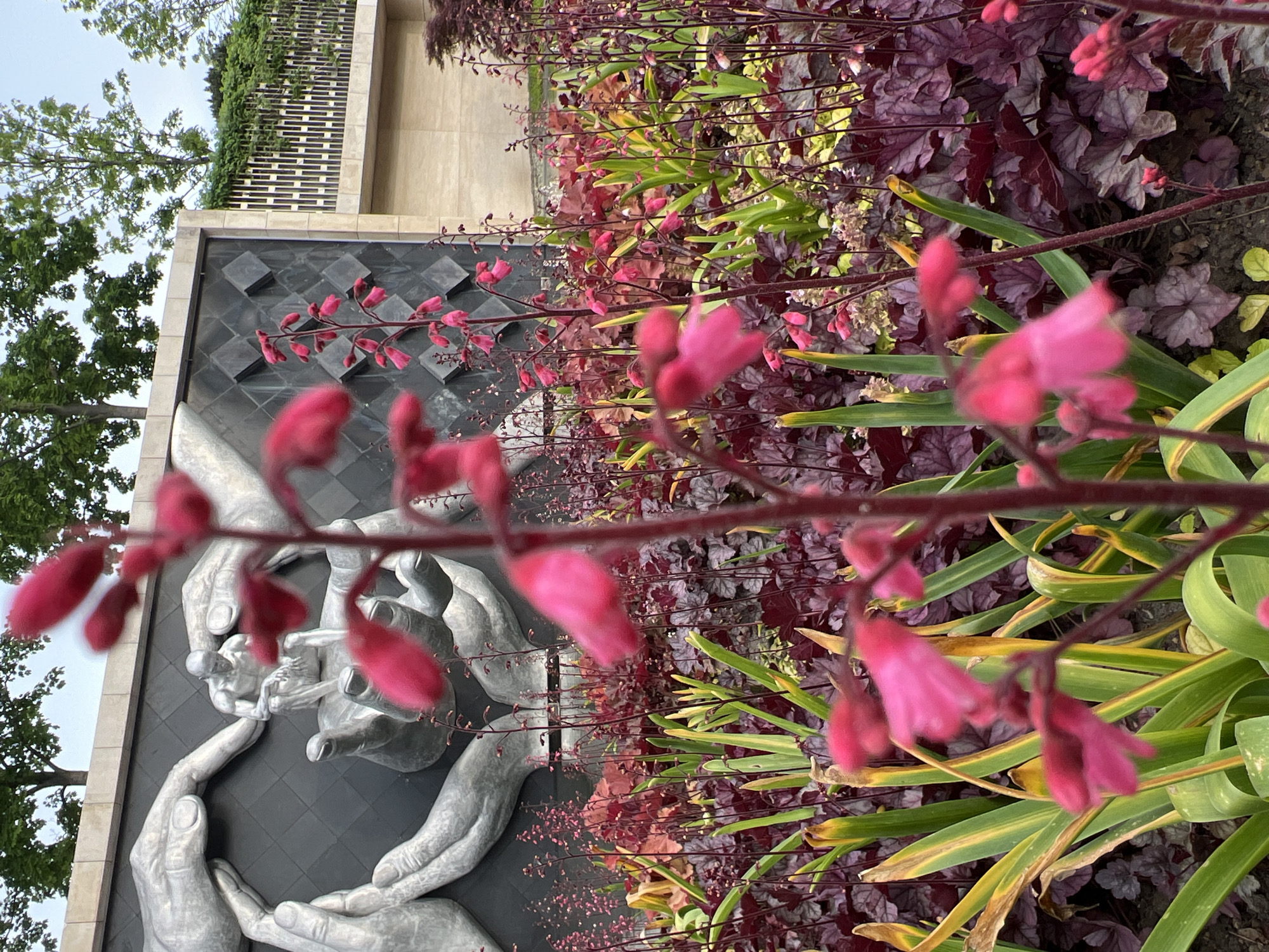 The image shows a close-up view of a section of the "Tree of Life" monument, located in Krasnodar, Russia, on Krasnaya Street near the intersection with Gorkogo Street. The monument features a black wall with a bas-relief of intertwined hands encircling a central figure. In the foreground, blurred pink flowers and green foliage grow in a flowerbed. The image is shot from a low angle, and a building with a latticed top is visible in the background, along with trees against a light sky. The image composition is oriented vertically.