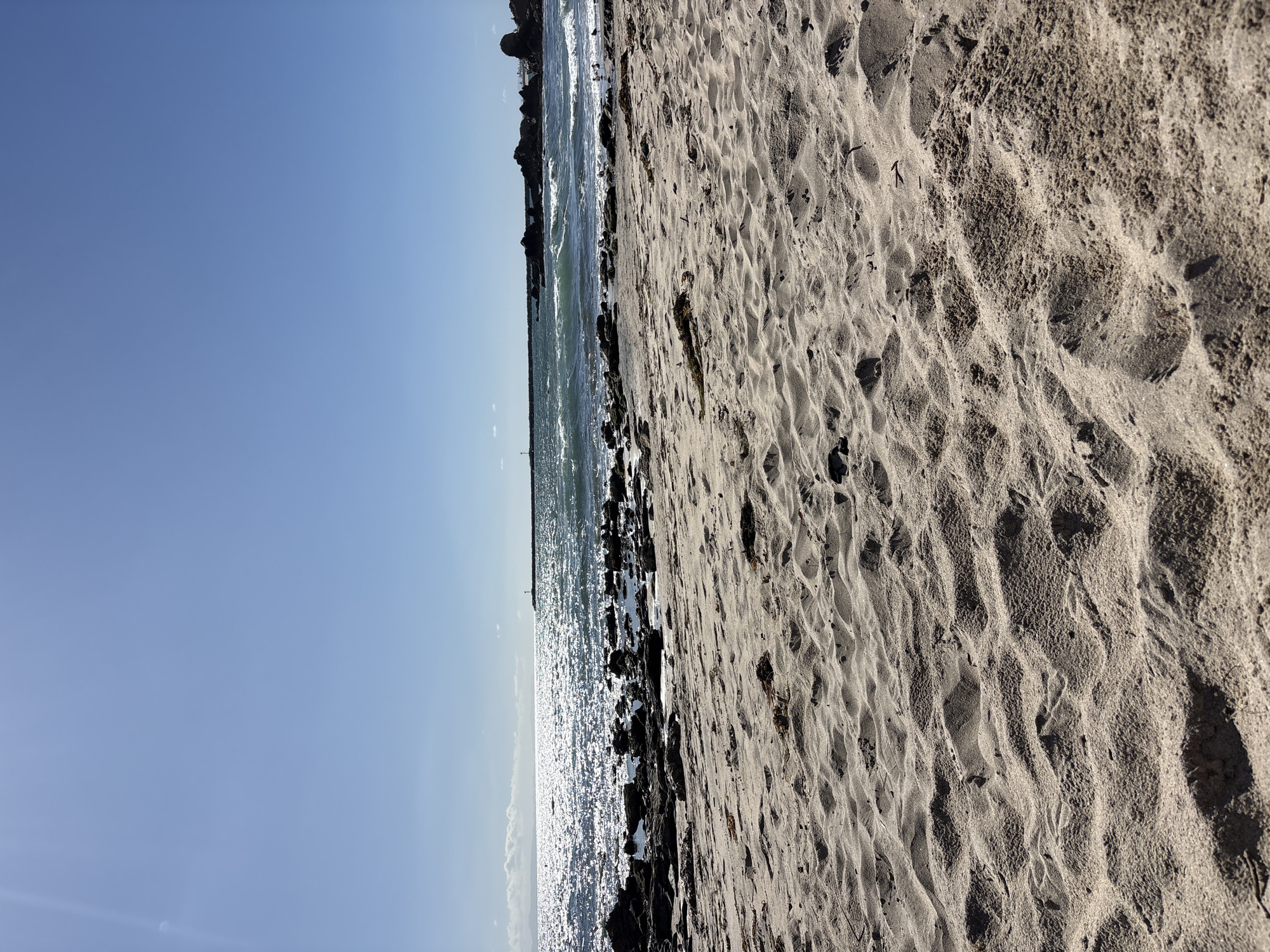 The image shows a beach scene in Newport Beach, United States of America. On the right side of the image, there is a sandy beach with textured sand. To the left of the sand, the ocean is seen reflecting light, with rocks and seaweed along the shoreline. Further to the left, there is a clear blue sky. The image is oriented sideways.