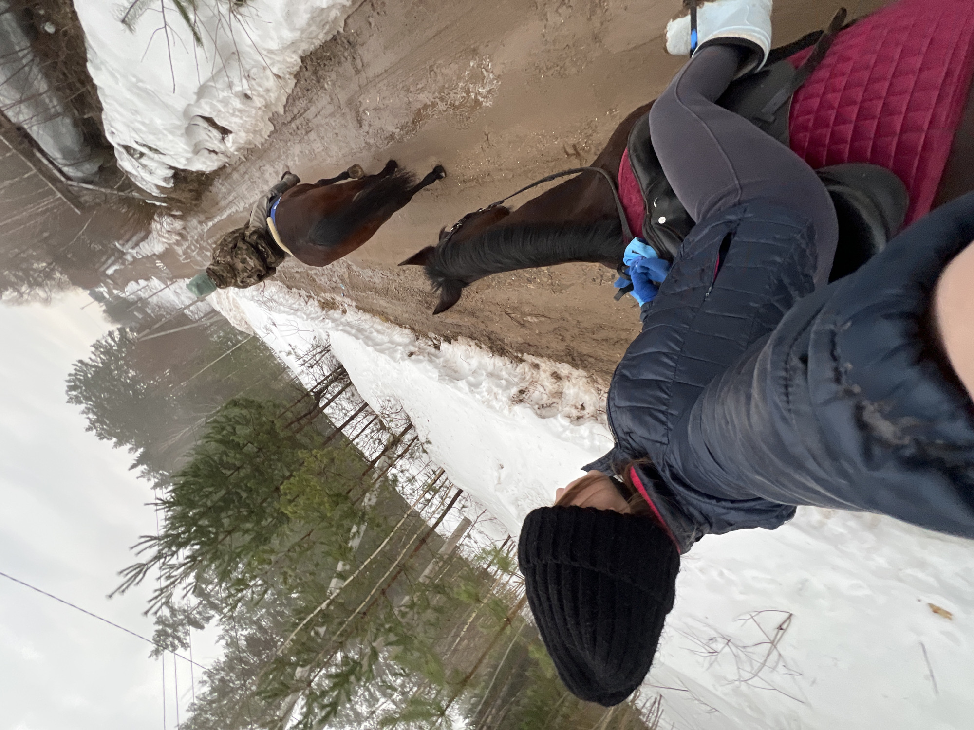 A person wearing a black beanie, a navy jacket, grey leggings, and boots is seen sitting atop a brown horse with a burgundy saddle pad. Another horse is walking in front. The location appears to be a snowy path near a wooded area. It is likely Chaikovsky, Russia.