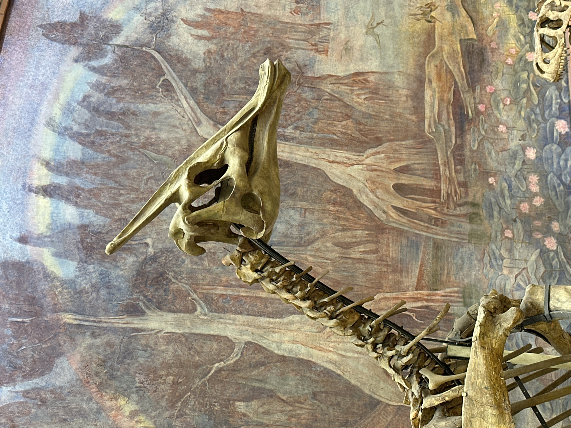 The image shows a skeletal reconstruction of a Parasaurolophus dinosaur, specifically the skull and neck vertebrae, displayed against a painted backdrop featuring stylized trees, figures, and flora. The bone structure is light brown in color. The background has muted tones of blues, browns, and grays. The location is likely the Orlov Museum of Paleontology in Moscow, Russia, based on the common dinosaur exhibits and mural style often found in such museums.