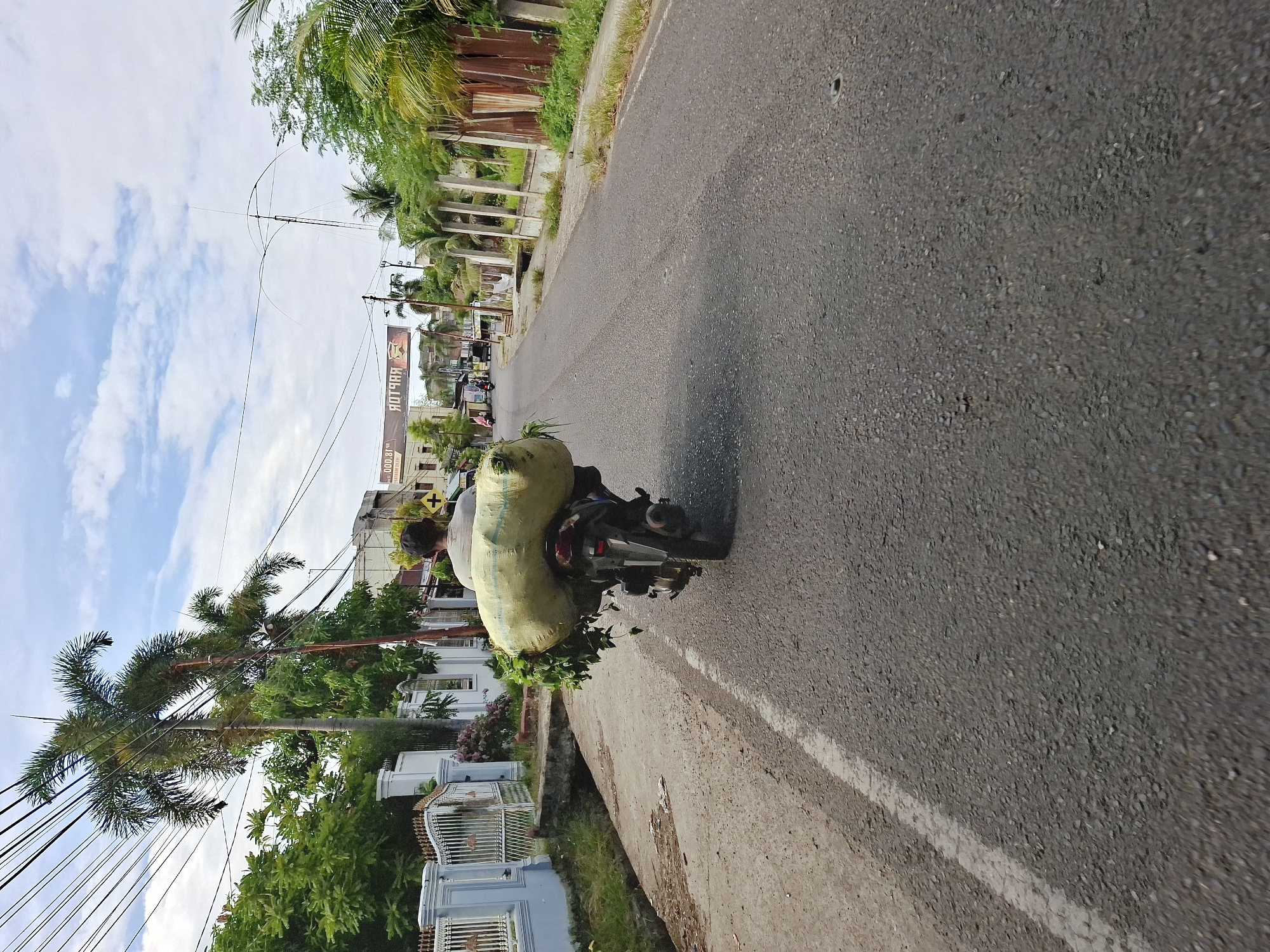 This image, set in Lhokseumawe, Indonesia, captures a dynamic street scene on a clear, sunny day. The central subject is a person riding a motorcycle, heavily laden with a very large, light-colored sack that appears to be filled with green foliage or agricultural produce. Green leaves trail visibly from the bottom of the sack, extending beyond the motorcycle's rear wheel. The rider wears a hat and is seen from behind.
The motorcycle is traveling on an asphalt road that features a white line on its right edge. Parallel to the road on the left side is a narrow ditch or canal, beyond which residential buildings with gates and fences line the street. These structures are nestled amidst abundant tropical vegetation, including tall palm trees and other leafy green plants. Numerous power lines are strung across the sky, crisscrossing the upper portion of the frame.
In the background, further down the road, more buildings are visible, suggesting a semi-urban or residential area. A large billboard or sign can be seen in the distance, displaying partially discernible text, including "ROTRAR" (which appears to be a reversed word, likely "ROTOR") and a numerical value "18.000". The bright sky with scattered white clouds indicates good weather conditions during daylight hours, possibly morning or afternoon. The scene depicts a common mode of transport for goods in tropical regions.