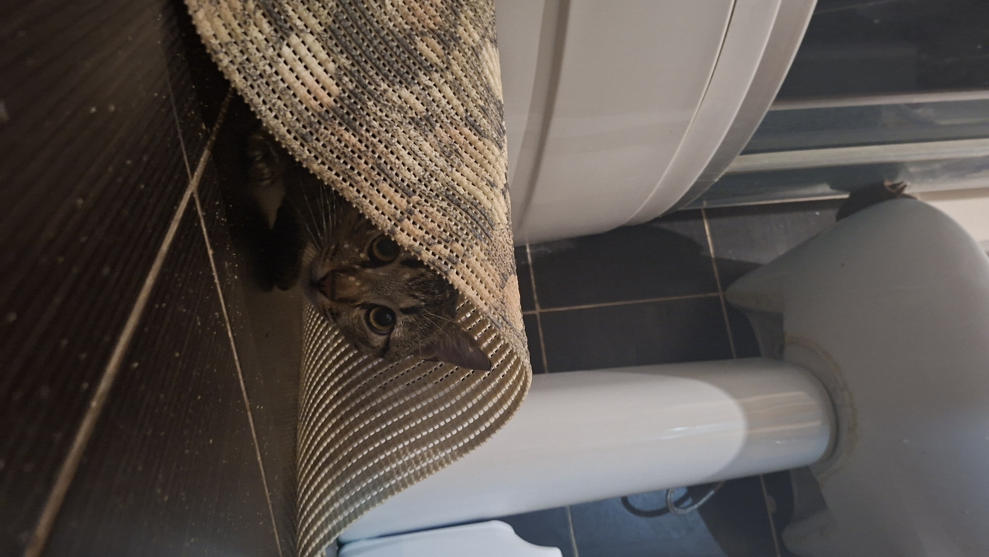 A cat with tabby markings is partially concealed under a mat, peering out with both eyes visible. The mat is patterned and beige in color. The scene appears to be in a bathroom next to a toilet. The floor is tiled in dark grey and black.