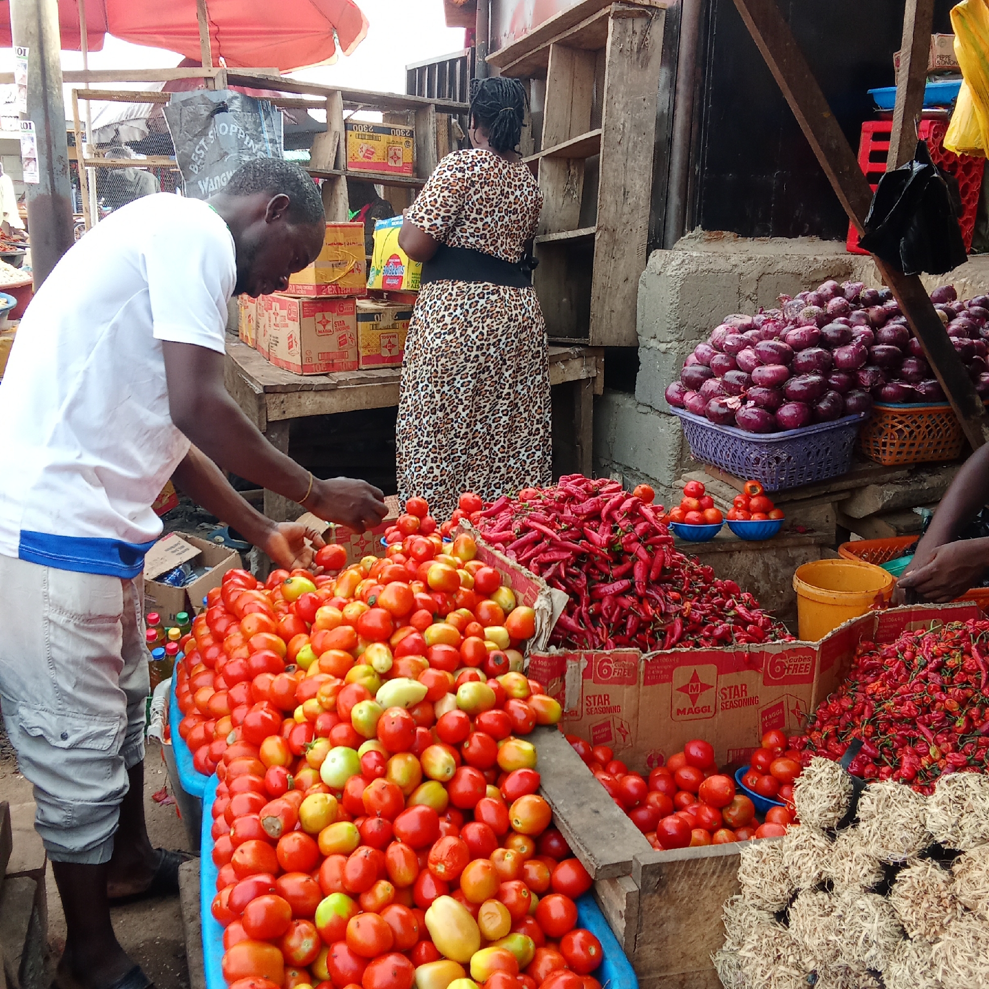 This image captures a vibrant outdoor market scene, likely in Akwanga, Nigeria, during the daytime. The central focus is a market stall laden with fresh produce and packaged goods.
In the foreground, a man in a white t-shirt and light-colored cargo shorts stands, actively sorting or selecting bright red and green tomatoes from a large blue basin. Behind the stall, a woman wearing a leopard-print dress with a black belt is visible, seemingly attending to the merchandise or customers.
The stall is bustling with a variety of goods. Piles of fresh, red tomatoes dominate the foreground, with some green and yellow ones interspersed. Next to them are abundant mounds of red chili peppers, including smaller, rounder varieties that resemble Scotch bonnets or habaneros, displayed in cardboard boxes. Further back, large quantities of red onions are stacked in blue and orange woven baskets on a concrete ledge. Bundles of dried, fibrous material, possibly dried fish or spices, are also displayed on a wooden surface.
The market setup features rustic wooden shelves and tables, and a red umbrella provides shade. Various cardboard boxes are stacked around the stall, some clearly branded with "STAR SEASONING" and "MAGGI CUBES," with visible text like "cubes FREE," "100x40," and "2300." A black plastic bag hanging from a wooden beam partially reveals the words "BEST SHOPPING Wang." The overall impression is a busy, functional market environment.
