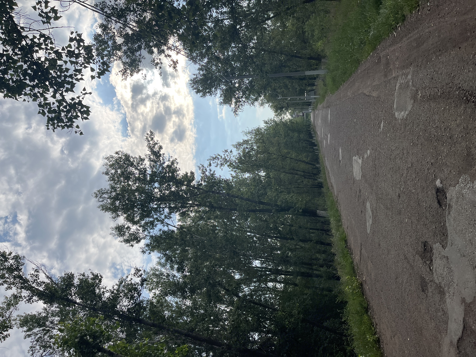 An upward-angled shot of a rural road lined with tall trees and a cloudy sky. The road is paved and shows signs of disrepair with several potholes. The trees are dense, with green foliage, and appear to be deciduous. Power lines and utility poles are visible along the right side of the road. The sky is partly cloudy with patches of blue sky peeking through. This scene is located on the outskirts of the city of Blagoveshchensk, Russia, likely in a residential or suburban area. There are no people or animals visible in the image.