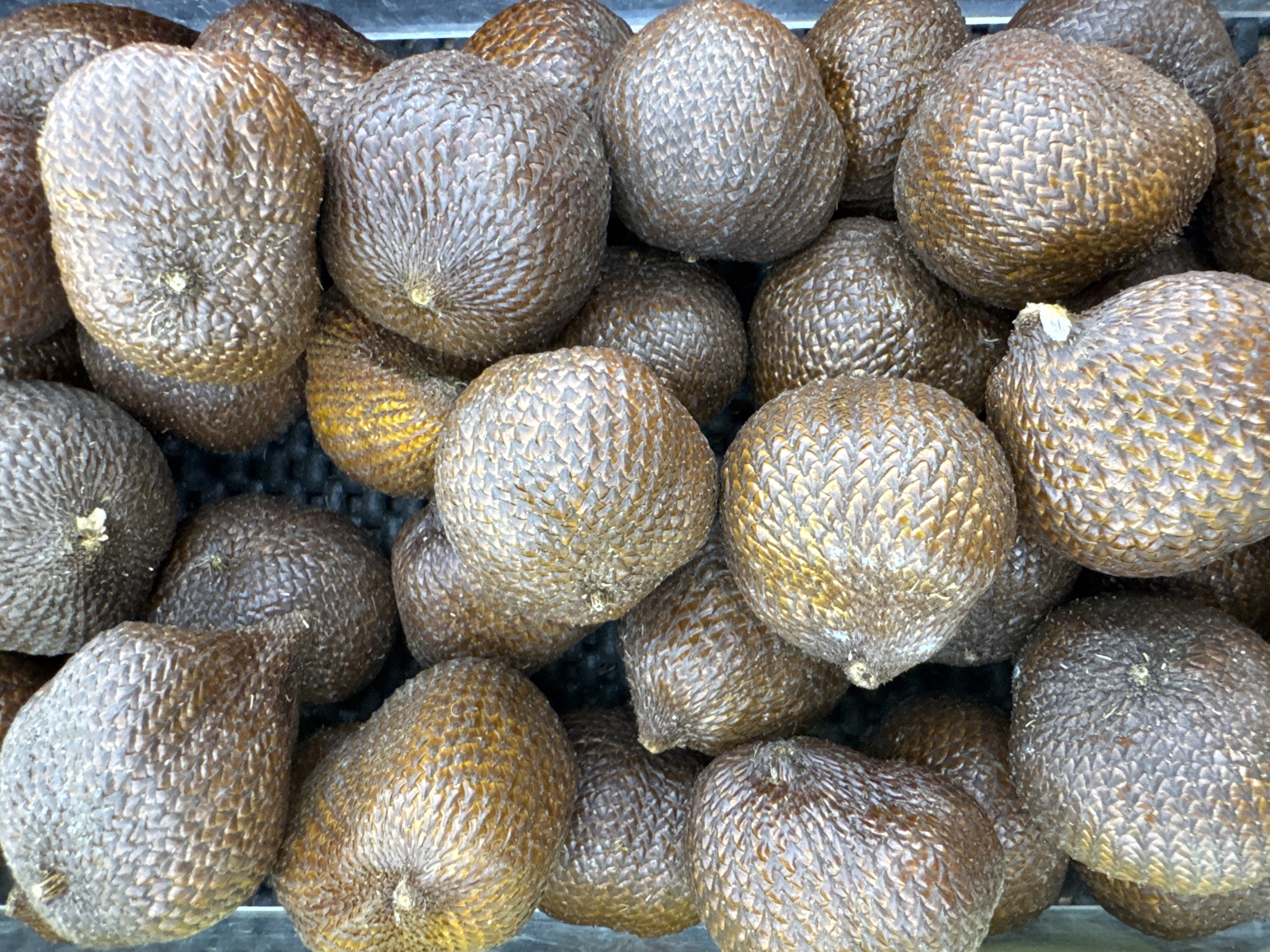 The image shows a pile of salak fruit, also known as snake fruit, in an unidentified location. The fruits are brown, oval-shaped, and covered in a scaly skin. The image may have been taken in Kuta Selatan, Indonesia, as requested.