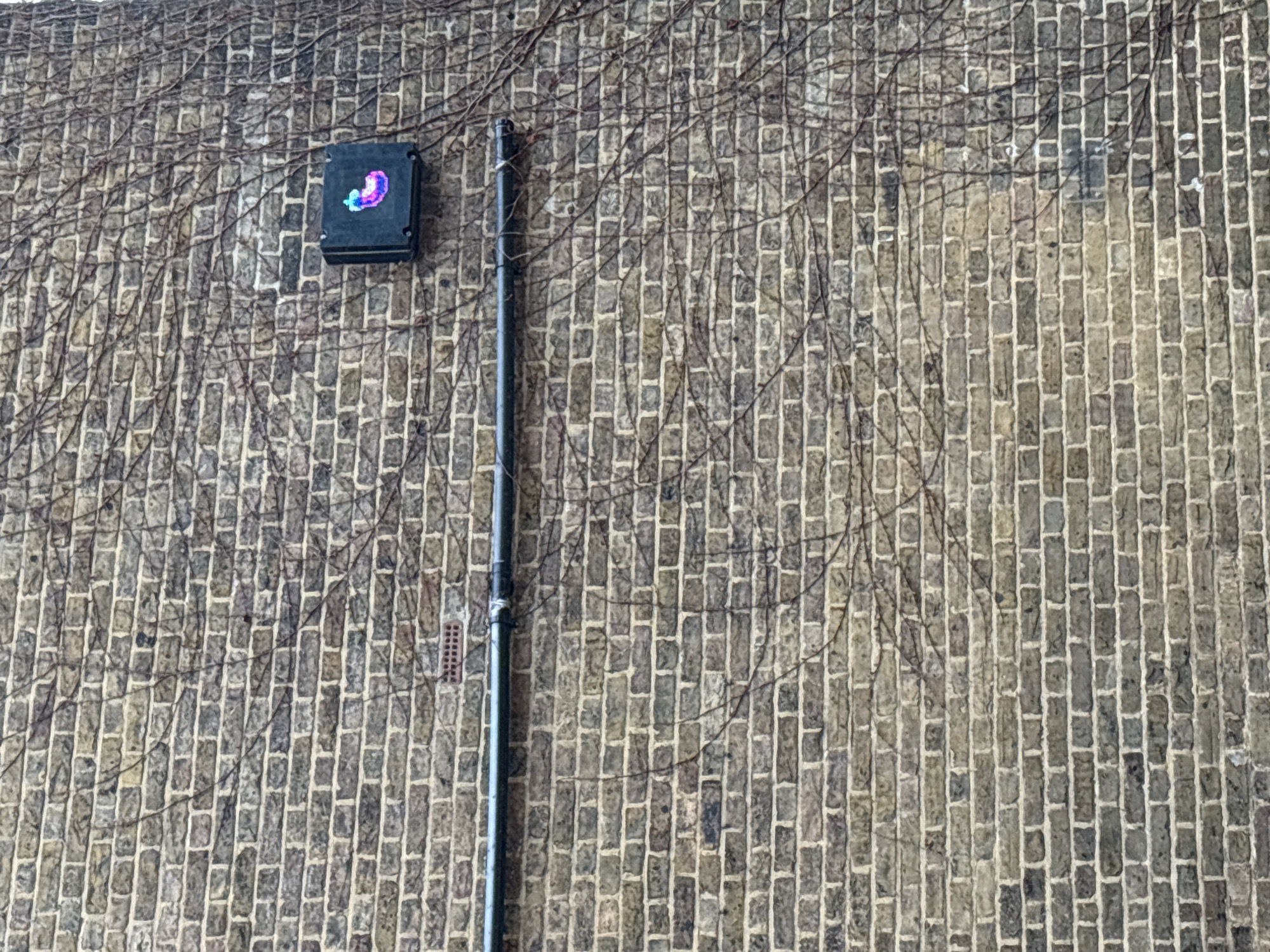 The image displays a section of an aged brick wall on an exterior building, consistent with urban architecture found in London, United Kingdom. The wall is constructed from bricks exhibiting varied shades of grey, brown, and some reddish tones, laid with light-colored mortar. Numerous bare, dark-brown vines are visible, climbing and spreading across the brick surface, denser on the right and upper areas. A dark grey horizontal pipe runs across the mid-left portion of the wall, secured by metal fittings. In the upper-right quadrant, a black rectangular box is mounted directly to the brickwork. This box features a luminous digital display showing a pixelated, multi-colored image that resembles a whimsical creature, possibly a slug or a fantastical animal, predominantly rendered in shades of purple, pink, and light blue-green. A small, red-brown rectangular air brick or vent is situated in the upper-middle left section of the wall. No individuals, actions, or direct interactions are depicted in the scene.