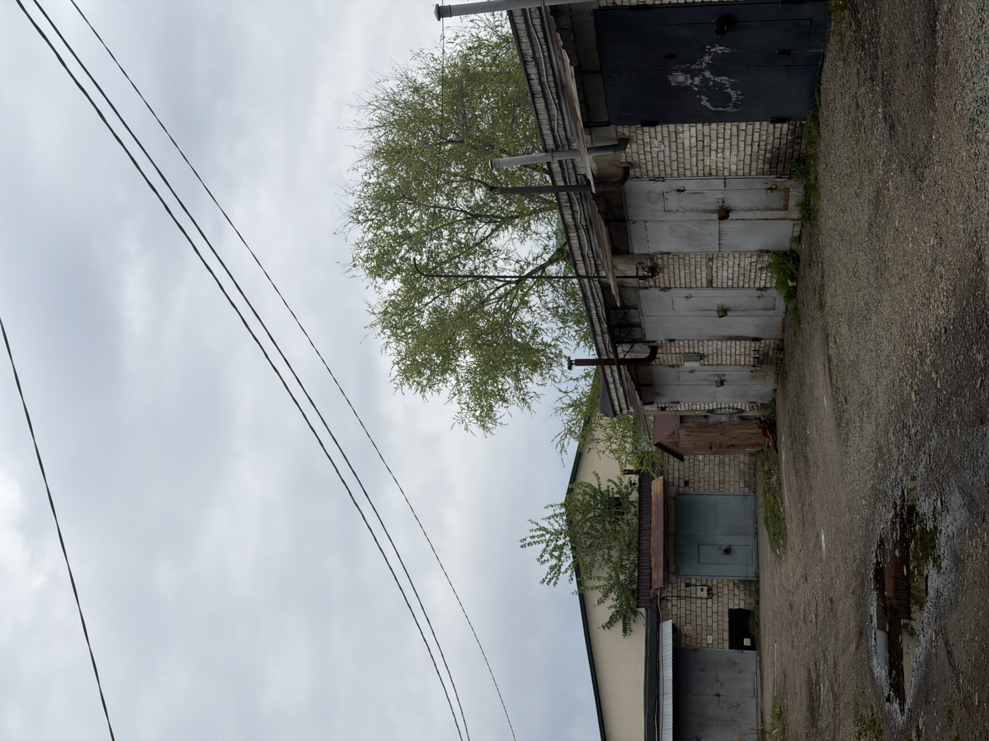 The image shows a row of brick garages in Birobidzhan, Russia, under a cloudy sky. Three black power lines extend diagonally across the left side of the frame. A tree with light green foliage grows between the garages. The garage doors vary in color, ranging from dark gray to light gray. The ground in front of the garages is paved with asphalt, showing signs of wear and a small puddle reflecting the surroundings. The garages appear old and weathered, with some brickwork showing signs of disrepair. No people are visible in the frame.
