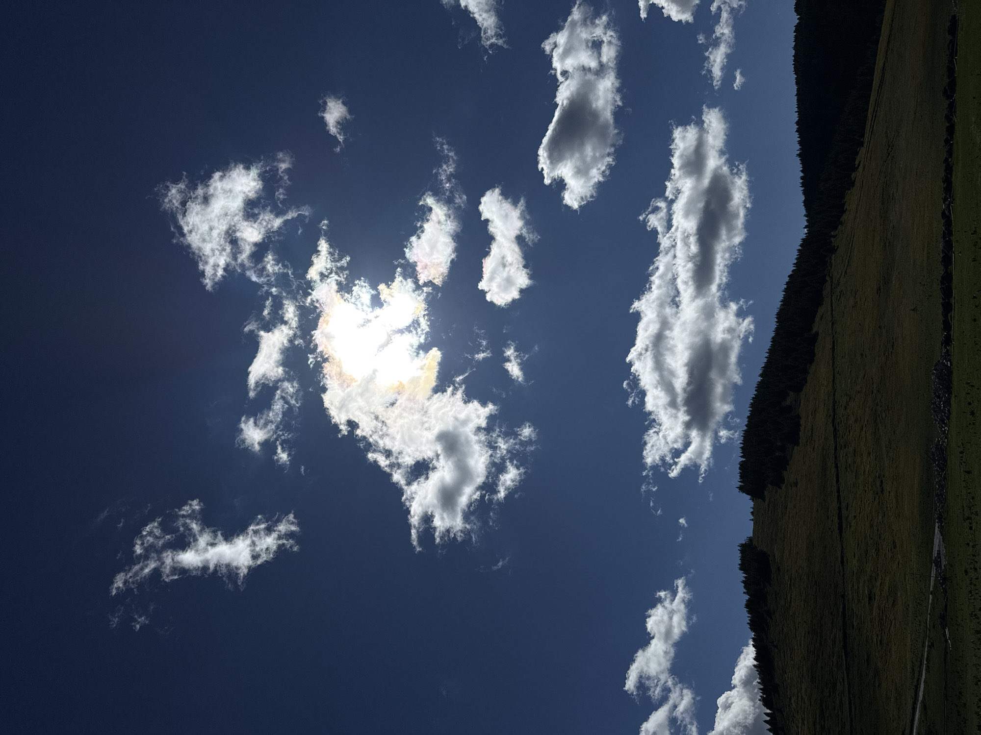 This image captures a dramatic sky filled with luminous white and grey clouds against a deep blue sky. The sun is partially obscured by a large cloud cluster, casting bright rays and colorful iridescent hues. Below the sky, a dark, tree-covered hillside slopes upward, its crest lined with dense evergreen trees. The lower part of the hill is a shadowed, grassy expanse. In the foreground, a strip of dark green grass and a hint of a dirt path suggest a rural or mountainous landscape. There is no indication of the city of Gela, Bulgaria, in this image; it appears to be a natural landscape scene.