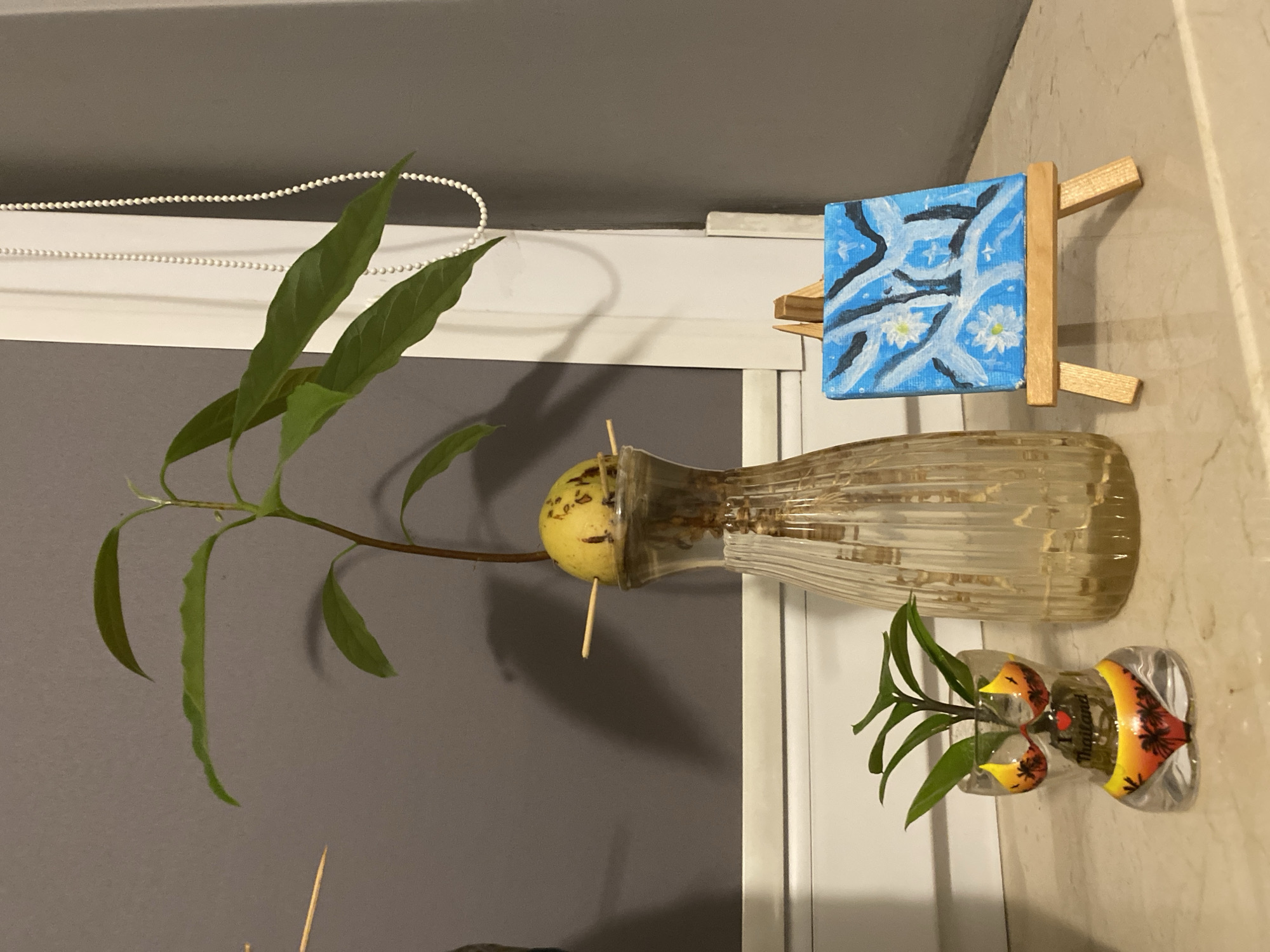 The image shows a still life arrangement on a speckled countertop, likely indoors. On the left is a small glass vase shaped like a torso, decorated with a sunset motif and palm trees, containing a small green plant. To the right of this vase is a larger, fluted glass vase holding an avocado pit with a young plant growing from it, suspended by toothpicks. In front of the larger vase is a miniature painting on an easel, depicting a blue sky with white flowers and branches. A white beaded pull cord for window blinds hangs on the right side of the frame. The background is a neutral gray wall. There is no indication of the city of Łódź, Poland.