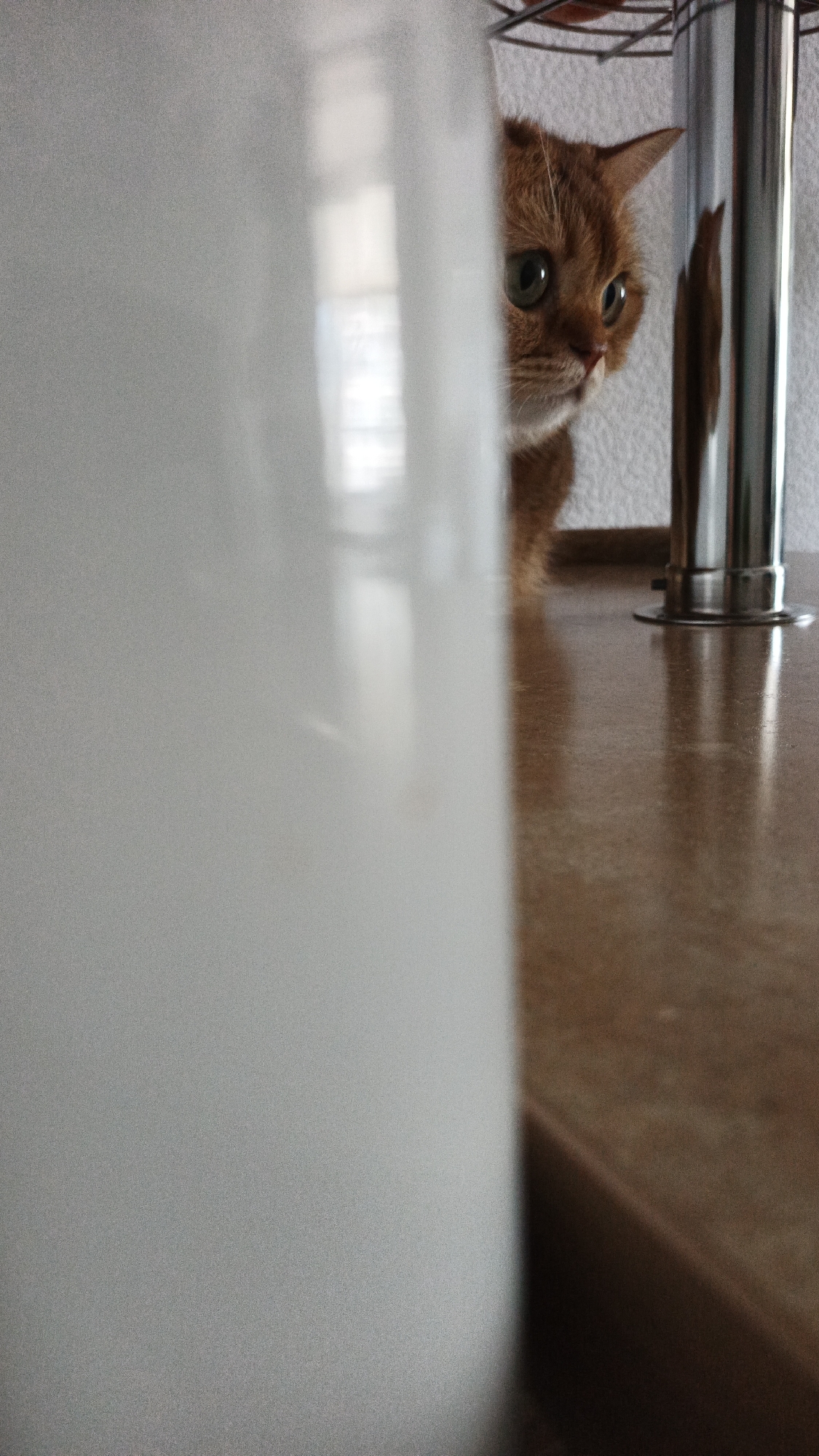 The image shows an orange cat peeking from behind a white, opaque object, likely a jug or bottle, onto a wooden countertop. The cat's face is visible, with large green eyes and pointed ears. In the background, a chrome-plated pole is present, possibly part of a shelving unit or appliance. The setting appears to be indoors, with some light filtering in from a window, reflected on the surfaces. The composition is a close-up, with the cat being the main subject. The image does not contain any discernible elements that would indicate its location in Yekaterinburg, Russia, or any specific city.