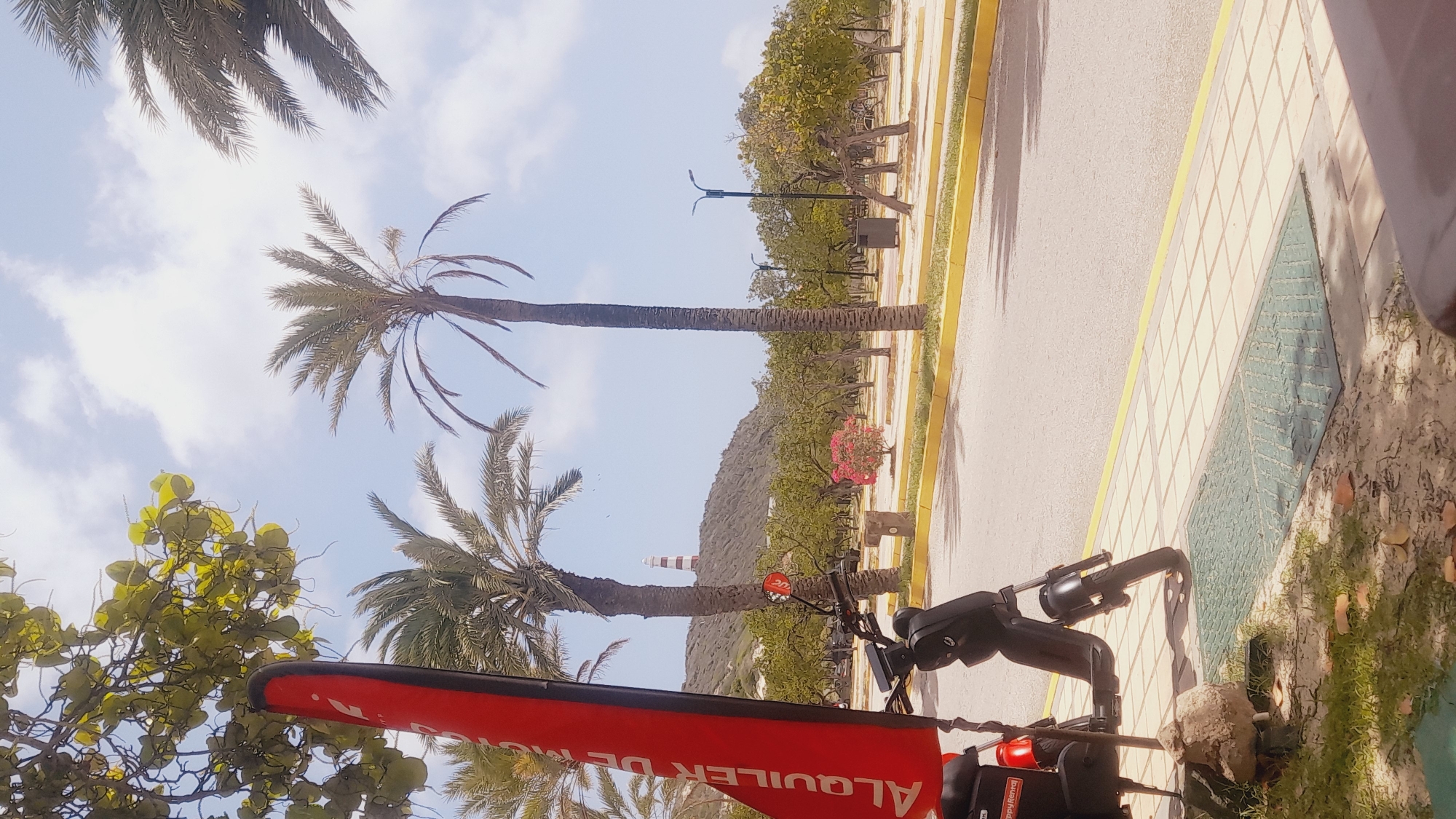 The image depicts an outdoor scene in Pedro González, Venezuela. In the foreground, a black scooter is parked on a tiled sidewalk next to a red flag with white lettering that reads "ALQUILER DE BICIS". The scooter has a visible red sticker on its rear. To the left of the scooter, a large rock is placed on the ground near some dry grass and fallen leaves.
The background features a street lined with yellow curbs and trees. Beyond the trees, a hill rises, topped with a lighthouse that has red and white stripes. Palm trees are scattered throughout the scene, with some foliage from leafy trees in the upper left corner. The sky is blue with scattered white clouds. The overall environment suggests a warm, sunny day in a coastal or semi-tropical area.