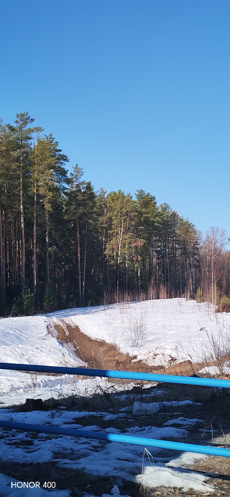 The image depicts a snowy landscape in Noviy, Russia, on a sunny day. A dense forest of tall pine trees occupies the left side of the frame, bordering a snow-covered field. A dirt path cuts through the snow, leading towards the trees. In the foreground, blue horizontal bars appear to be part of a fence or some sort of structure. Patches of snow are visible on the ground beneath the bars, mixed with dry grass and debris. The sky above is clear and blue. A plastic bottle can be seen on the ground. The text "HONOR 400" is in the bottom left corner of the image.