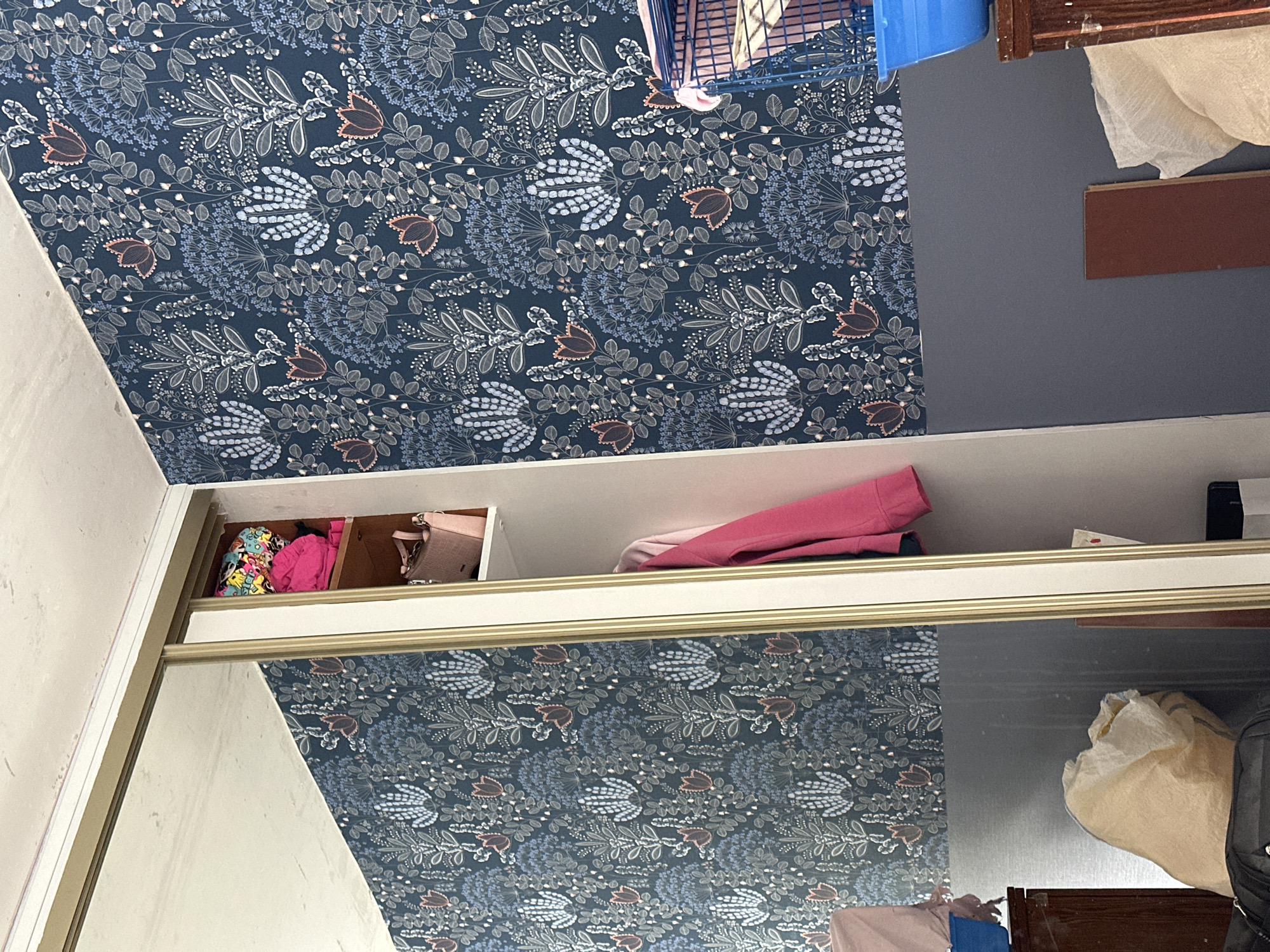 The image depicts a closet interior with a mirrored sliding door. The wall above the closet is covered in a dark blue floral wallpaper. Inside the closet, on a shelf, are various items including pink clothing, a patterned bag, and a light pink purse. The adjacent wall to the floral wallpaper is gray. A blue cage and wooden items are visible above the closet. The reflection in the mirror shows a continuation of the wallpaper pattern, as well as parts of the closet's contents and the adjacent wall. There is no information to suggest the location is in Stavropol, Russia.