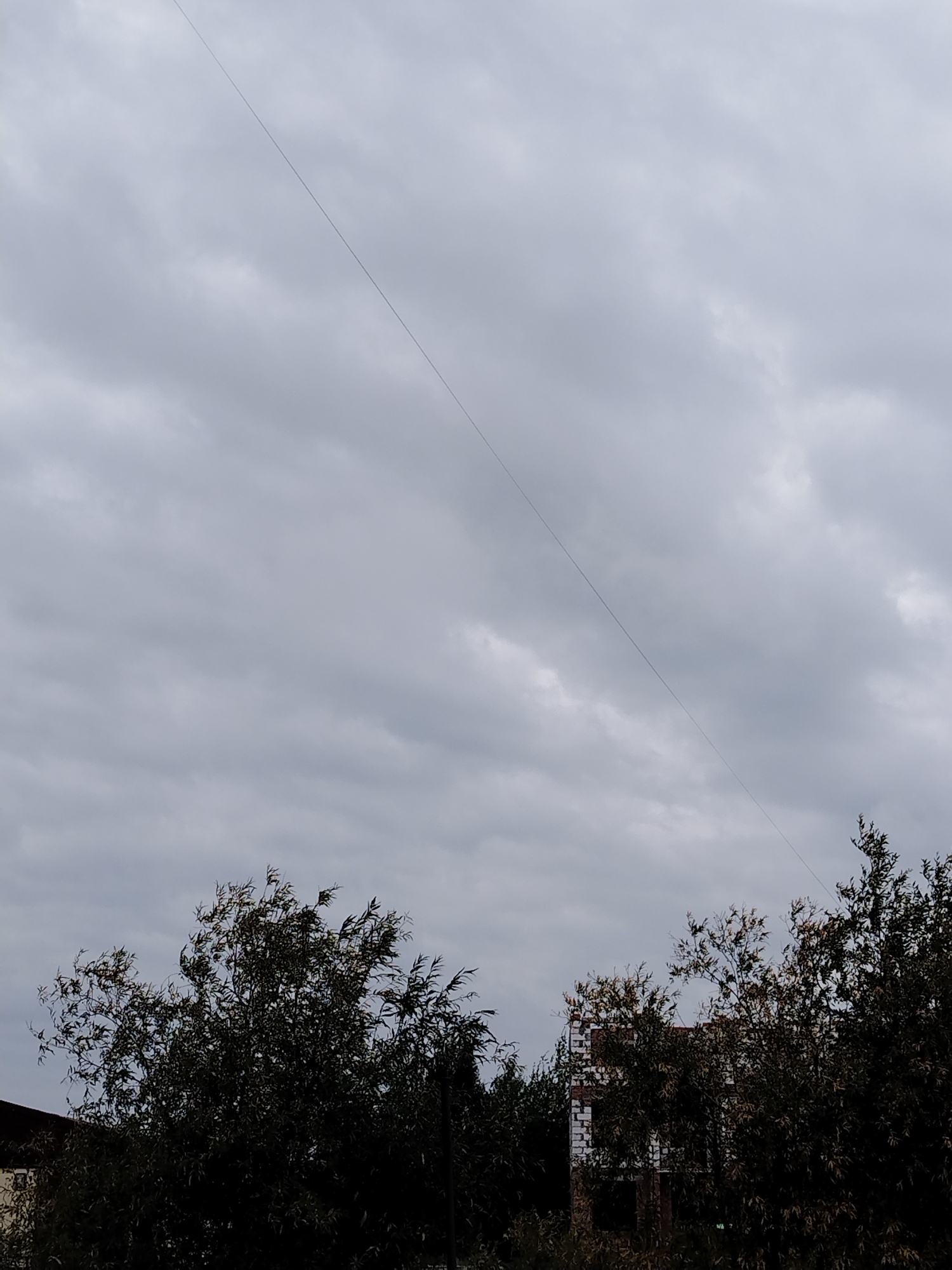 The image shows a gloomy, overcast sky with dark, textured clouds. A thin, dark line, likely a wire or cable, stretches diagonally across the sky from the upper left to the lower right. In the lower portion of the image, silhouetted against the sky, is a dense mass of dark green foliage from trees. Partially visible through the trees on the right side of the frame is the brick structure of a building under construction, with exposed white bricks and dark openings. A portion of a roofline, likely belonging to another building, is visible on the far left edge of the image. The scene appears to be an outdoor view, possibly in an urban or suburban area of Muravlenko, Russia, given the presence of trees and unfinished construction. There are no people or discernible actions taking place.