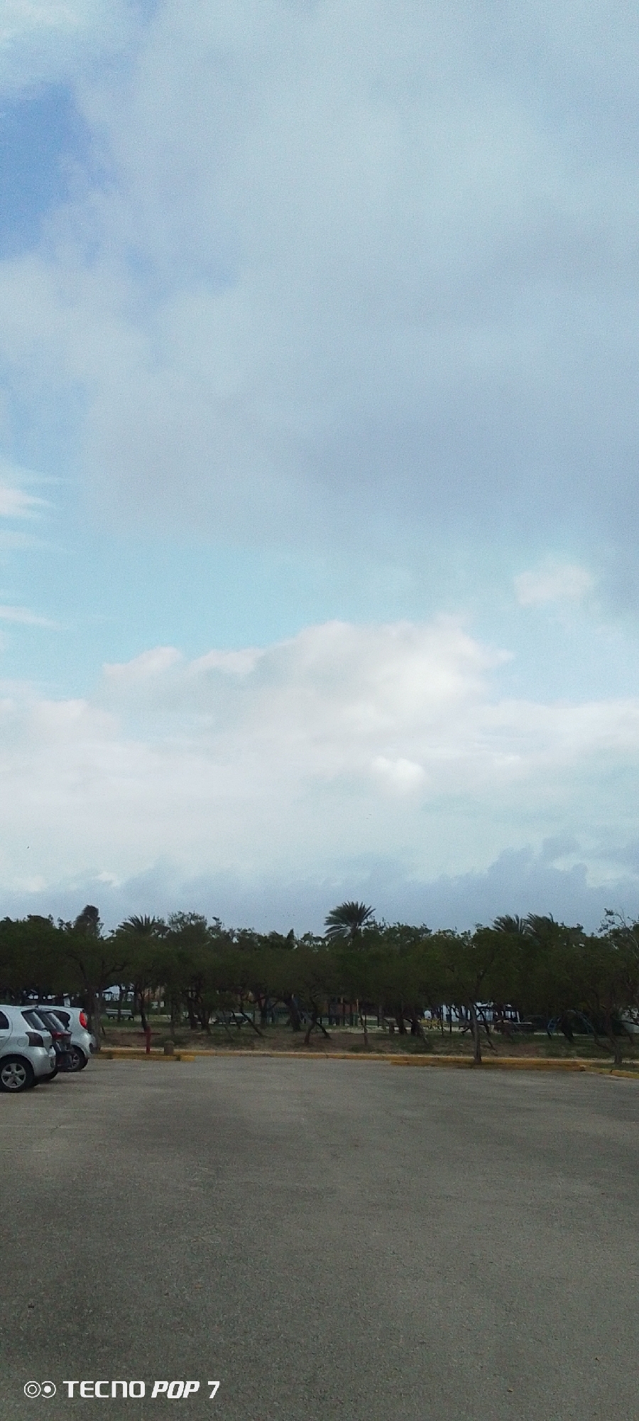The image depicts an outdoor scene with a wide expanse of sky filled with scattered clouds. In the middle ground, a line of trees forms a dense, green barrier. Some of these trees are palm trees, notably one with a distinctive feathery frond structure visible on the right side of the treeline. The foreground shows a paved area, likely a parking lot, with several cars parked on the left side. The cars are light-colored and appear to be compact sedans. A yellow curb separates the paved area from the grassy area in front of the trees. The environment suggests a park or recreational area within the city of Pedro González, Venezuela. The overall lighting indicates it is daytime, with the sun likely diffused by the clouds.