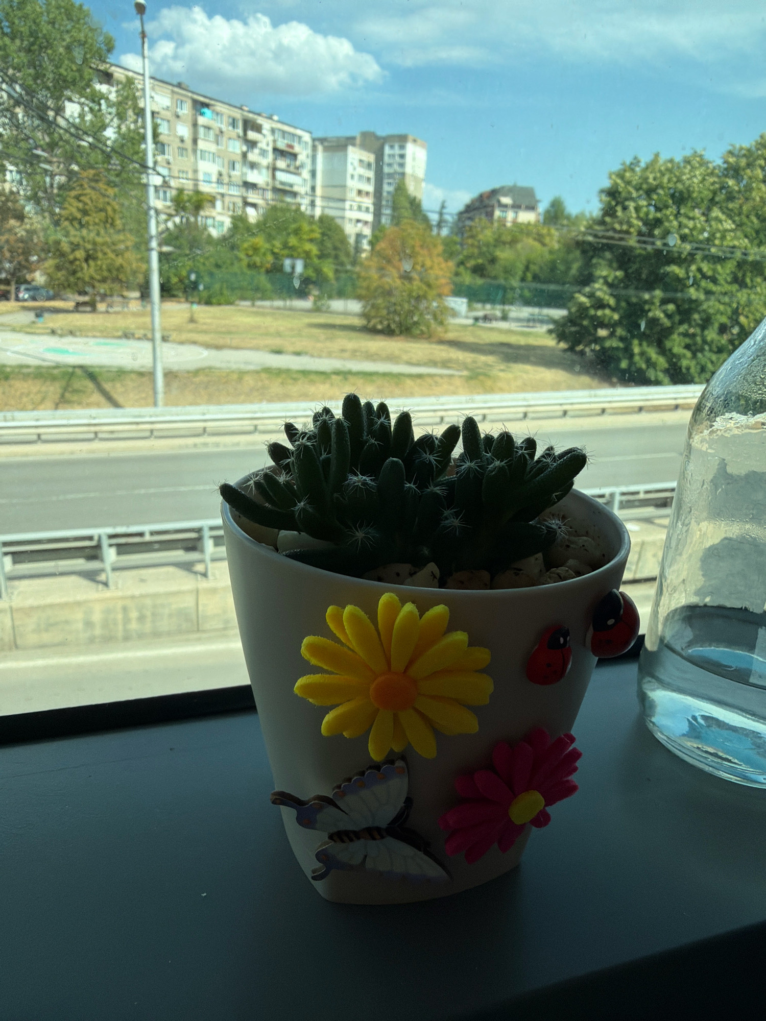 The image shows a potted cactus on a windowsill overlooking a street and apartment buildings in Sofia, Bulgaria. The cactus is in a light-colored pot decorated with a yellow daisy, a pink daisy, a butterfly, and two ladybugs. A glass bottle filled with clear liquid is to the right of the pot. Outside the window, there is a road with traffic barriers, green trees, and multi-story apartment buildings. The sky is blue with white clouds.
