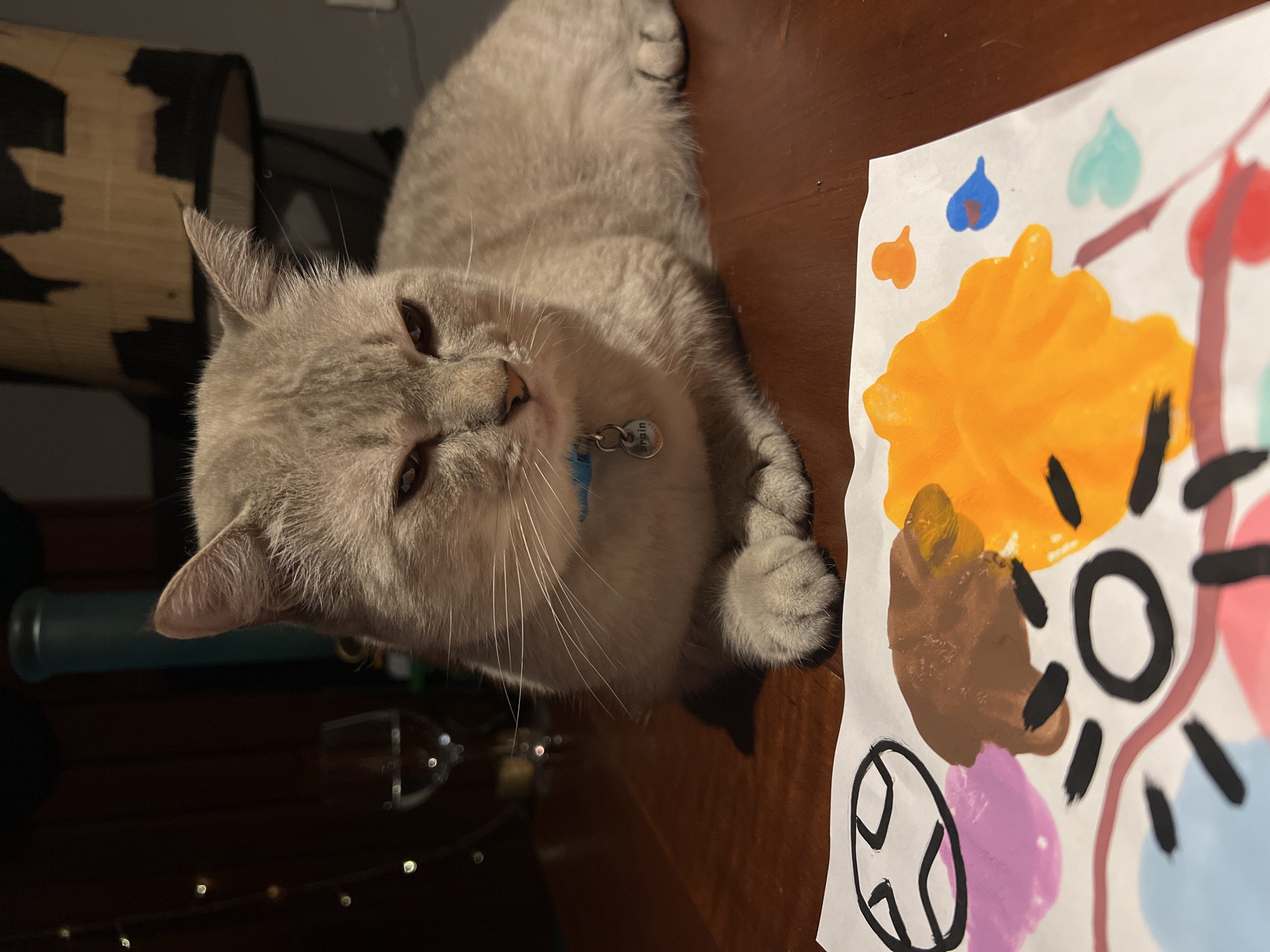 A light gray cat with striking amber eyes lies on a wooden table next to a colorful painting. The cat is wearing a light blue collar with a silver tag that reads "Rain". The painting features abstract shapes and colors, including orange, brown, pink, purple, and blue. The cat's paws are visible, resting on the table near the artwork. In the background, a dark object, possibly a lamp or a piece of furniture, is visible, along with some blurry string lights. The lighting suggests it might be nighttime or indoors. The cat appears relaxed and is looking directly at the camera with a slightly sleepy expression.
