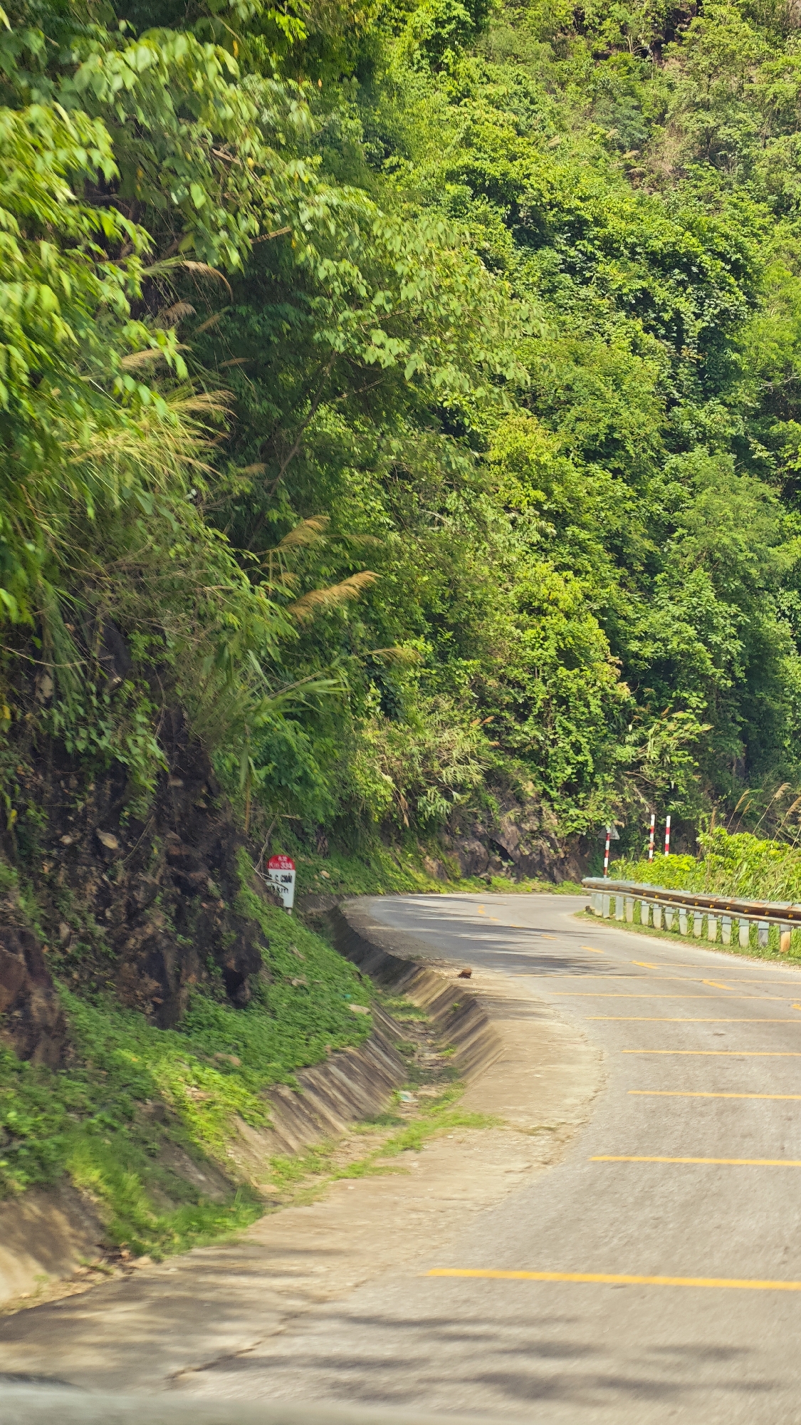 A winding, empty road is depicted in a vertical shot, cutting through a lush, mountainous landscape in Muong Kim, Vietnam. The asphalt road, marked with yellow dashed lines, curves gently to the right, disappearing further into the distance. To the left, a steep, rocky hillside rises, densely covered in vibrant green foliage, including various trees, shrubs, and tall, feathery grasses. A concrete drainage ditch runs along the immediate left edge of the road, separating it from the hillside.
On this hillside, a small, square red and white sign is visible, displaying the text "Km 334" at its top and "C.C.M." beneath it, likely indicating a kilometer marker along the route. To the right of the road, a metal guardrail, reinforced by vertical white and red posts, extends alongside the road's edge. The scene is illuminated by bright daylight, casting clear shadows on the road surface, suggesting a sunny day, likely in the late morning or early afternoon. The image conveys a sense of serene travel through a verdant, natural environment.
