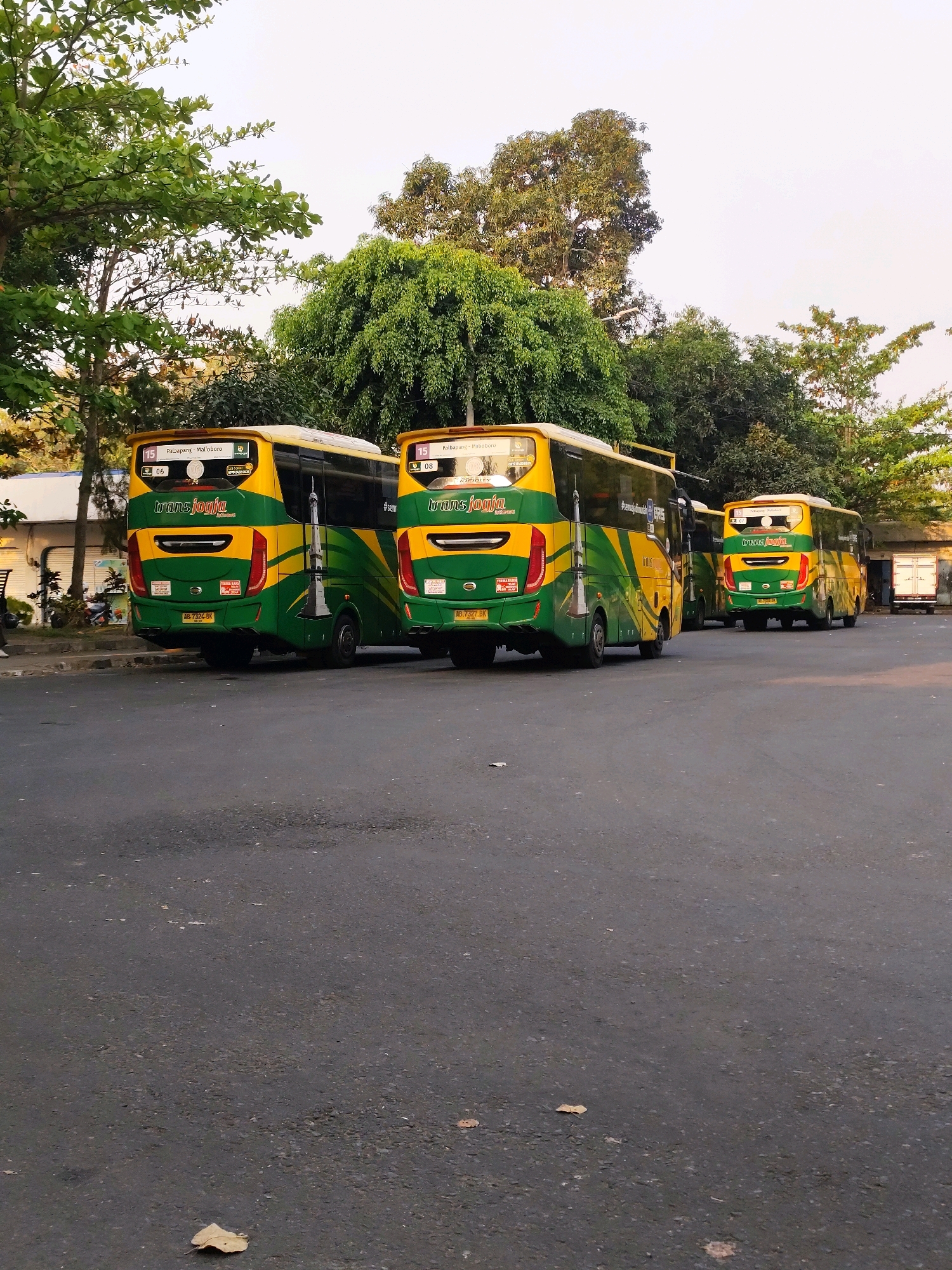 The image depicts an outdoor scene in Bantul, Indonesia, likely a bus terminal or parking lot, with a bright, slightly overcast sky. In the foreground, a grey asphalt surface is visible, with a few fallen leaves scattered across it. Behind the asphalt, three yellow and green buses are parked. The two buses on the left are closer to the viewer and are facing away. They are adorned with green and yellow wavy patterns and feature the "Trans Jogja" logo. The bus on the far left displays the route number "15" and "Palapang - Malioboro". The second bus from the left also shows route number "15" and "Palapang - Malioboro", along with the identifier "#sem". The third bus, further to the right and slightly smaller, is also yellow and green with the "Trans Jogja" branding.
To the left of the buses, there is a low building with a white facade, and behind it, lush green trees and foliage dominate the background. Some streetlights are visible among the trees. To the right of the buses, more trees and a part of a building with a tan-colored wall are present. In the far right of the image, a white truck is parked. The overall environment suggests a public transportation hub within a vegetated urban or semi-urban setting in Bantul. There are no visible people in the image.