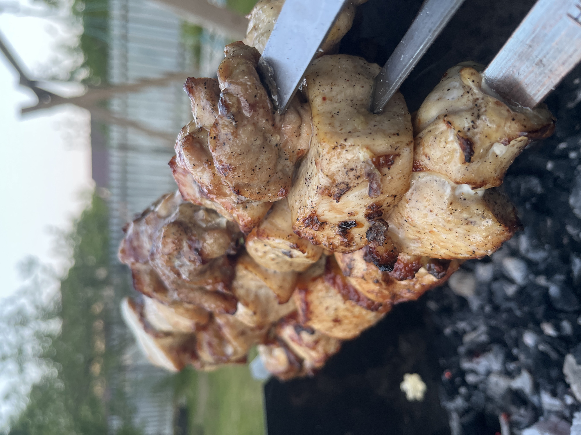A close-up, slightly angled shot focuses on a metal skewer laden with pieces of grilled meat. The meat is browned with visible grill marks and flecks of seasoning. A pair of metal tongs or pliers are positioned near the center of the skewer. Below the meat, a bed of charred charcoal and ash is visible. The background is blurred, showing green grass and a partially visible fence. The location appears to be an outdoor grilling area.