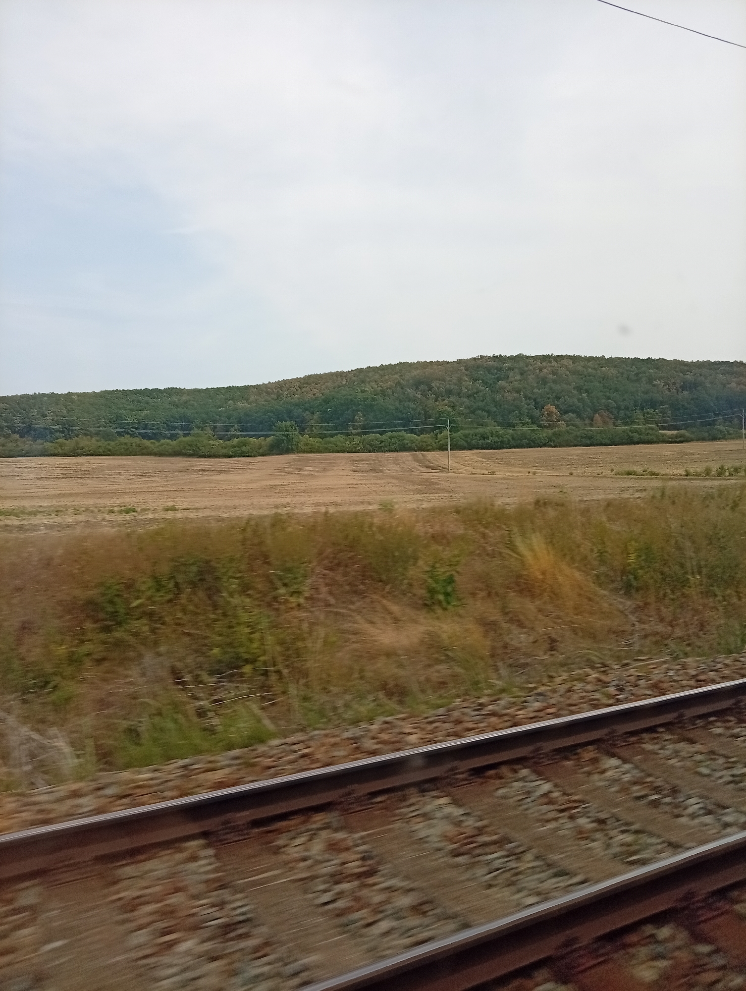 The image captures a rural landscape, likely from a moving vehicle, showing a field in the foreground and a tree-covered hill in the background. Railway tracks are visible in the lower portion of the frame, suggesting a train journey. The sky is overcast. The location is identified as Moravské Knínice, Czechia, a town situated in the South Moravian Region, known for its agricultural landscape. The scene depicts a typical view of the Czech countryside.