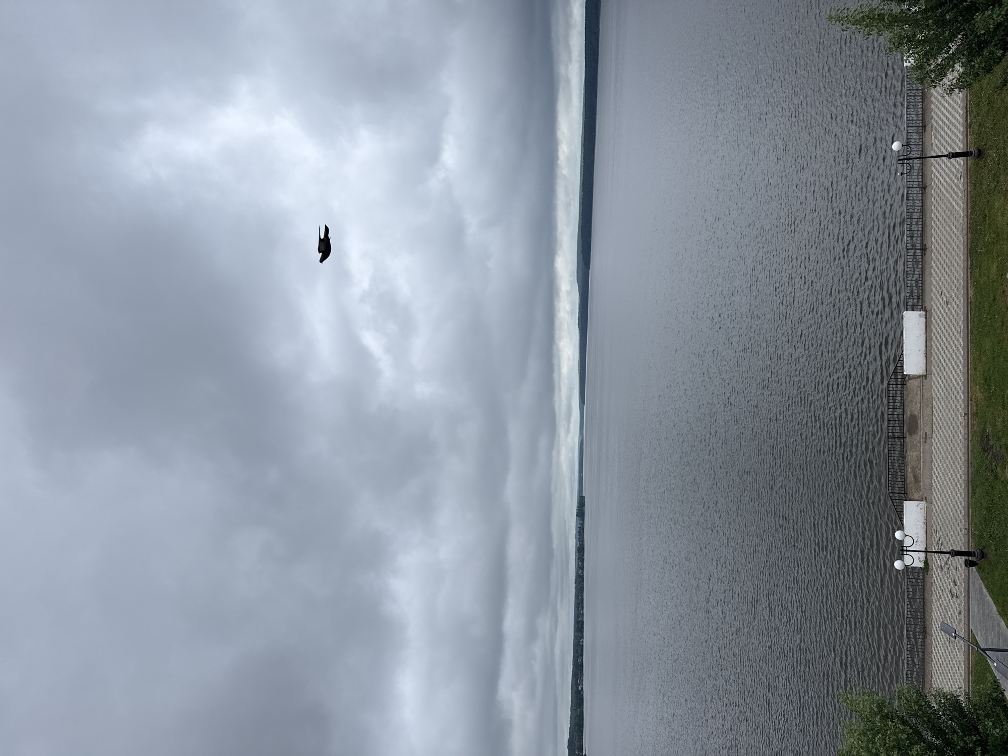The image depicts a landscape view in Votkinsk, Russia. The scene is characterized by overcast skies, with varying shades of gray in the cloud formations. A dark silhouette, likely a bird, is visible in the upper-left portion of the sky. A body of water, possibly a lake or river, occupies the right half of the frame, displaying a slightly rippled surface. A thin strip of land is visible along the horizon in the middle of the frame. A paved walkway with a checkered pattern runs along the right edge, lined with a black metal railing and interspersed with white pillars and street lamps. Green foliage, possibly trees or shrubs, is visible along the edge of the walkway.