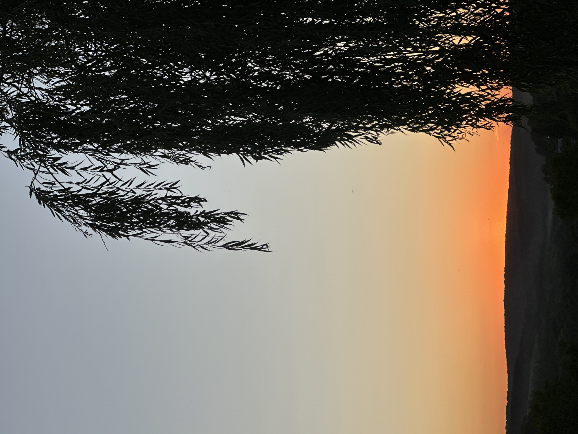 The image depicts a silhouetted weeping willow tree against a gradient sky at dusk. The sky transitions from a pale blue at the top to a vibrant orange near the horizon, suggesting sunset. Below the sky, rolling hills covered in dark foliage are visible. The location is identified as Makiv, Ukraine. There are no people or specific objects or actions to describe.