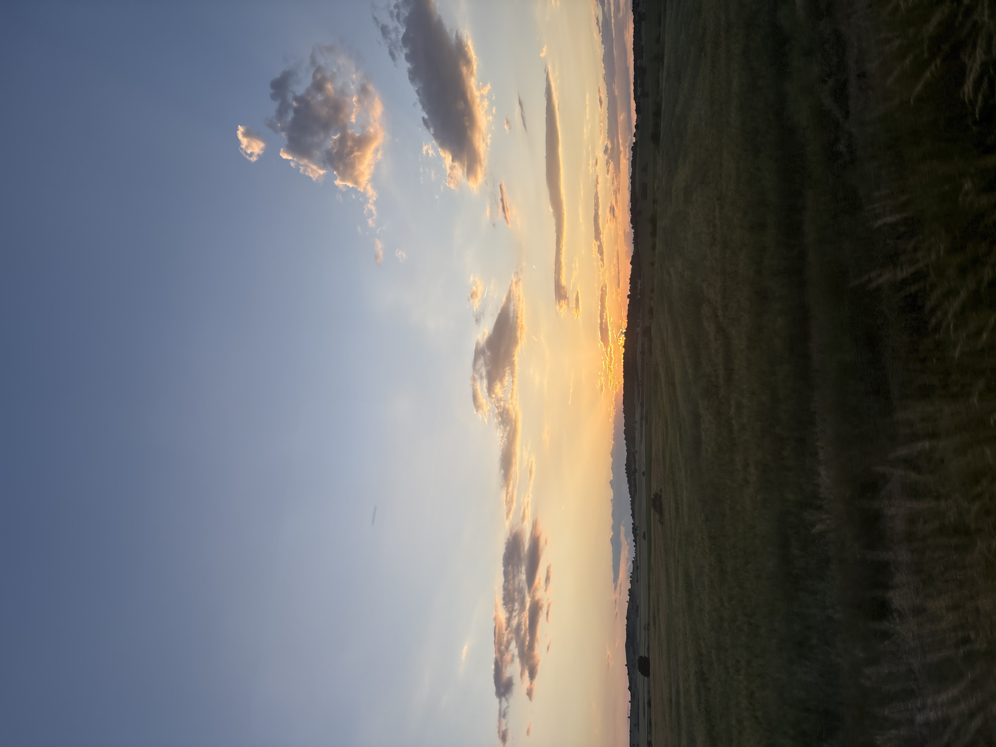 This image depicts a rural landscape at sunset in the vicinity of Svoboda, Bulgaria. The sky transitions from a clear, pale blue at the top to vibrant hues of orange, yellow, and pink near the horizon, indicative of the setting sun. The sun itself is visible as an intense, bright orange-yellow glow on the horizon, positioned slightly to the left of the frame's vertical center. Scattered clouds are present across the sky; those higher up and further from the sun appear darker and more shadowed, while clouds closer to the horizon are illuminated from below, displaying warm orange and pink tones. Some clouds exhibit cumuliform structures, while others are more diffuse and stratiform.
The midground and foreground are dominated by expansive agricultural fields, appearing dark green to deep brown due to the low light conditions of dusk. The fields show subtle texture and potential rows, suggesting cultivated crops such as wheat or barley. A distinct horizon line of distant, low-lying hills or dense tree lines forms a dark silhouette against the brighter sky. No explicit structures, roads, or signs of human habitation are clearly discernible within the visible landscape. The very bottom of the foreground features blurred vegetation, possibly tall grasses or weeds, suggesting either a close-up perspective or slight motion blur. No individuals or animals are present in the scene.