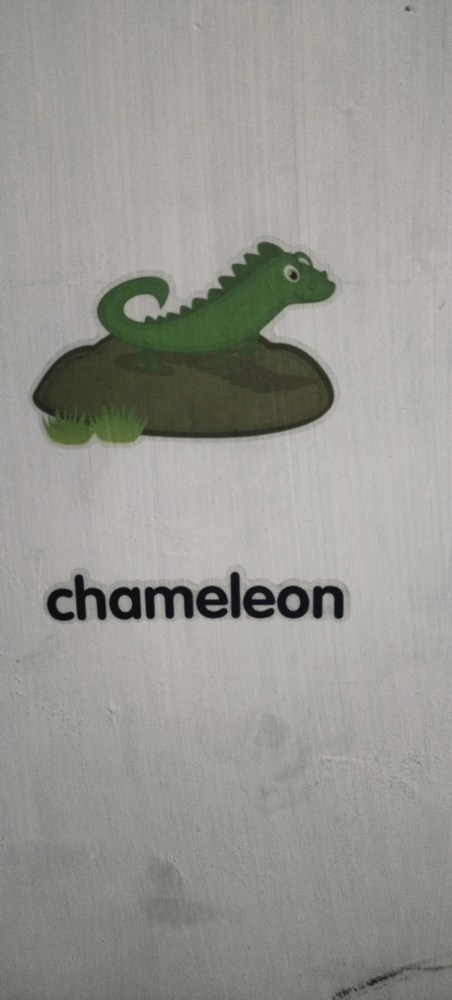 The image shows a green chameleon sticker on a wall, with the word "chameleon" printed in black text below it. The wall appears to be textured and light-colored. The chameleon is depicted sitting on a brown rock, with two small green grass tufts at the base of the rock.