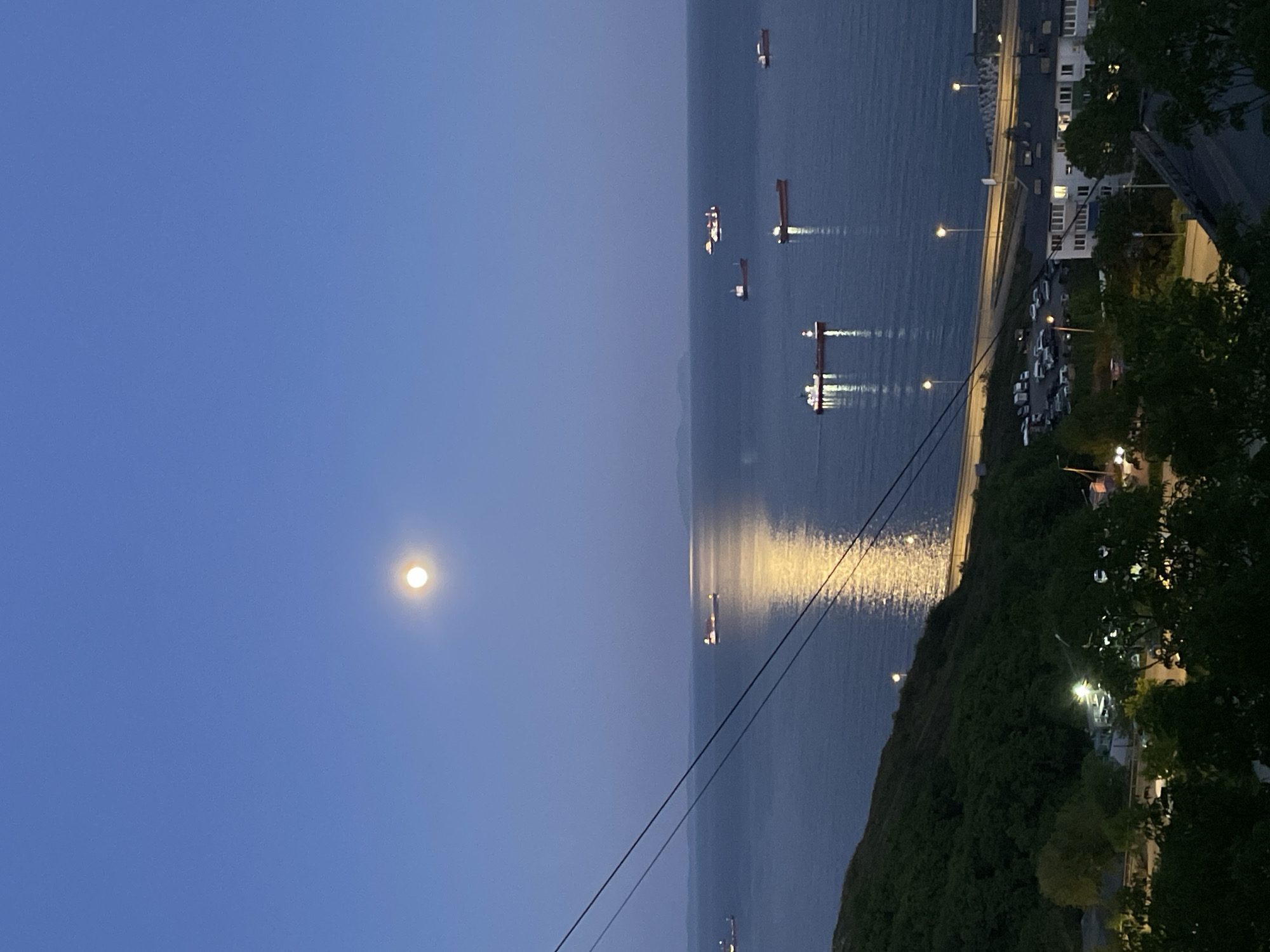 The image depicts a nighttime scene in Vladivostok, Russia. A body of water reflects the moonlight and lights from ships. Several ships are visible on the water. A road runs along the coastline, illuminated by streetlights. Buildings and parked cars are visible along the road. The sky is a dark blue, with a prominent moon in the upper left. Trees are present along the right edge of the image, slightly obscuring the view. Power lines are stretched across the scene.