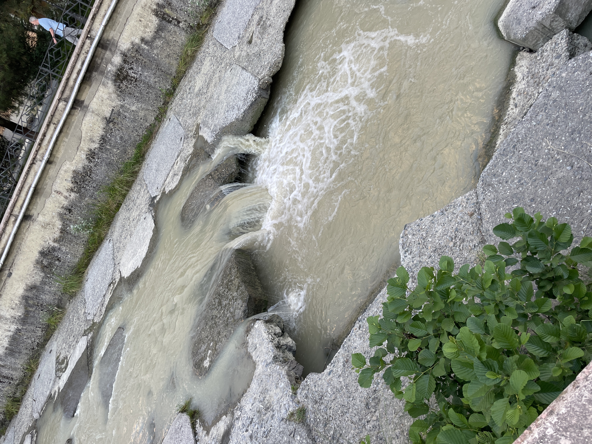 The image depicts a concrete-lined canal or stream flowing through an urban or semi-urban environment in Sochi, Russia. The turbid, light brown water flows from the upper left towards the lower right, descending over a series of rough-hewn concrete blocks and ledges that form small waterfalls, generating white foam and turbulence, particularly in the middle-right. The canal banks are constructed from textured, grey concrete, displaying signs of age and minor erosion.
To the right of the canal, a tall concrete retaining wall rises, featuring a rough, weathered surface with dark stains and sparse patches of green grass and small white flowers growing from cracks. A horizontal metal pipe is affixed to this wall. Atop the retaining wall, a dark metal fence with geometric patterns runs along a paved pathway. A male individual, dressed in a light blue short-sleeved shirt and light-colored trousers, is observed walking from left to right along this pathway, positioned behind the fence. He appears to be middle-aged or older and is looking towards the right, away from the camera.
In the lower-left foreground, a dense, leafy green bush with broad, serrated leaves grows adjacent to the concrete edge of the canal. In the distant background, beyond the pathway and fence, trees and hints of other structures are visible. The scene is illuminated by natural light.