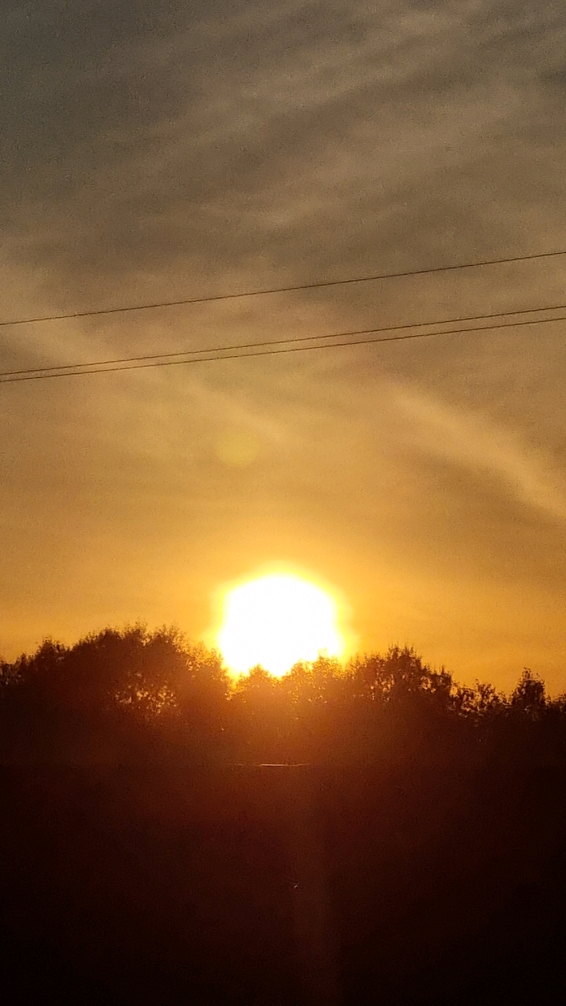 The image captures a sunset over a silhouetted treeline, with the sun a bright, glowing orb in the center. The sky transitions from a hazy orange near the horizon to a muted gray at the top. Two thin, dark power lines stretch horizontally across the upper portion of the frame. The treeline below is dense and dark, with the tops of the trees illuminated by the setting sun. The lower part of the image is almost entirely dark, obscuring any ground features. The scene appears to be located outdoors, likely in a rural or semi-rural area, given the natural elements and power lines. The image was taken in Vysokoe, Russia.