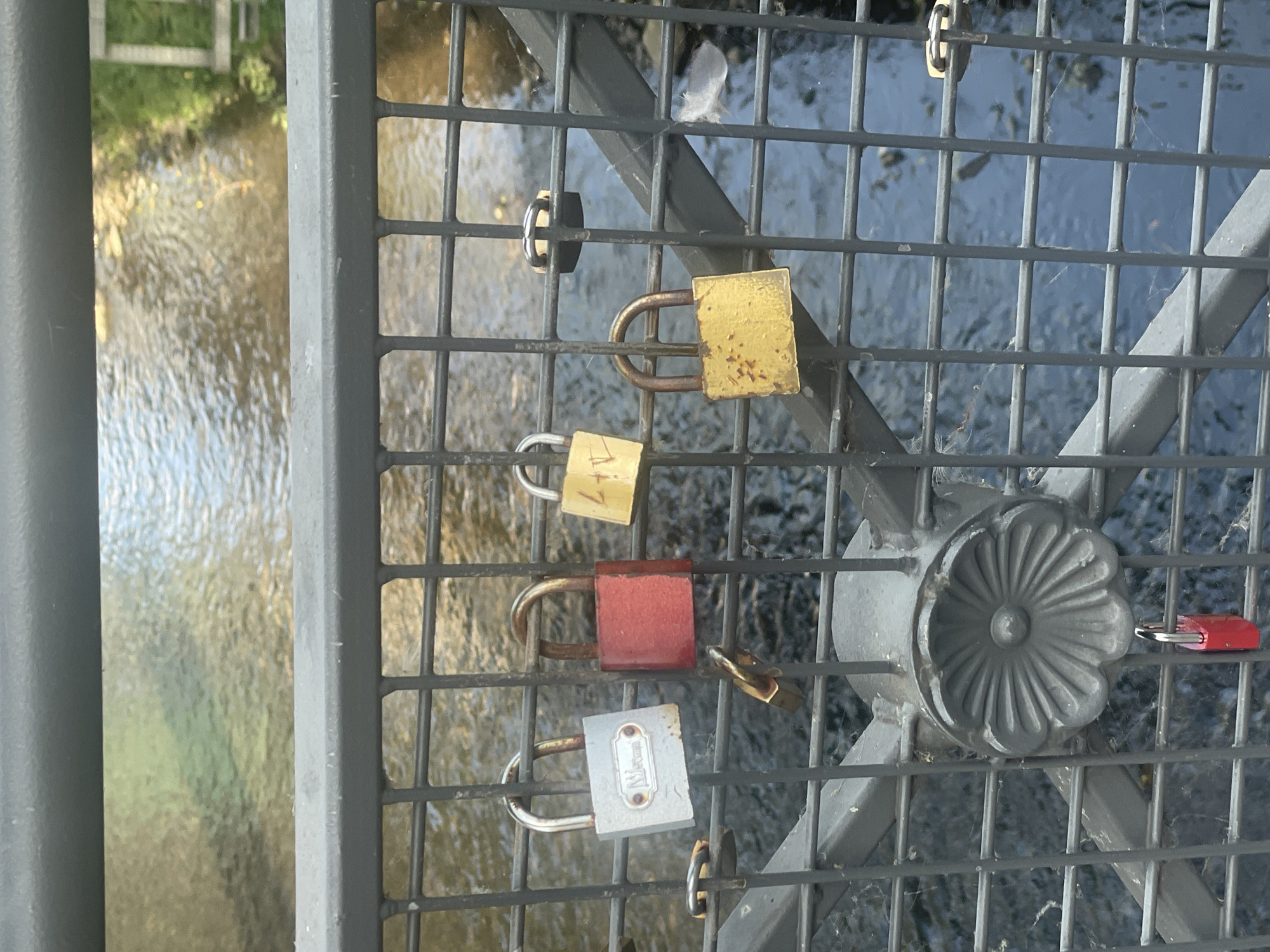 The image shows a section of a metal railing on a bridge over a body of water, likely the river Wupper in Wuppertal, Germany, judging by the presence of "love locks" on the railing. Six padlocks are visible, hanging from the railing. From left to right: a silver padlock with a nameplate, a red padlock, a yellow padlock with some writing, a smaller dark padlock, a larger yellow padlock, and another small dark padlock. Below the railing, a decorative metal rosette is attached. A single red padlock hangs from the bottom of the railing below the rosette. The water below is rippling, with some reflections of greenery visible. The railing is made of dark gray metal bars. The overall scene suggests a bridge used for symbolic declarations of love.