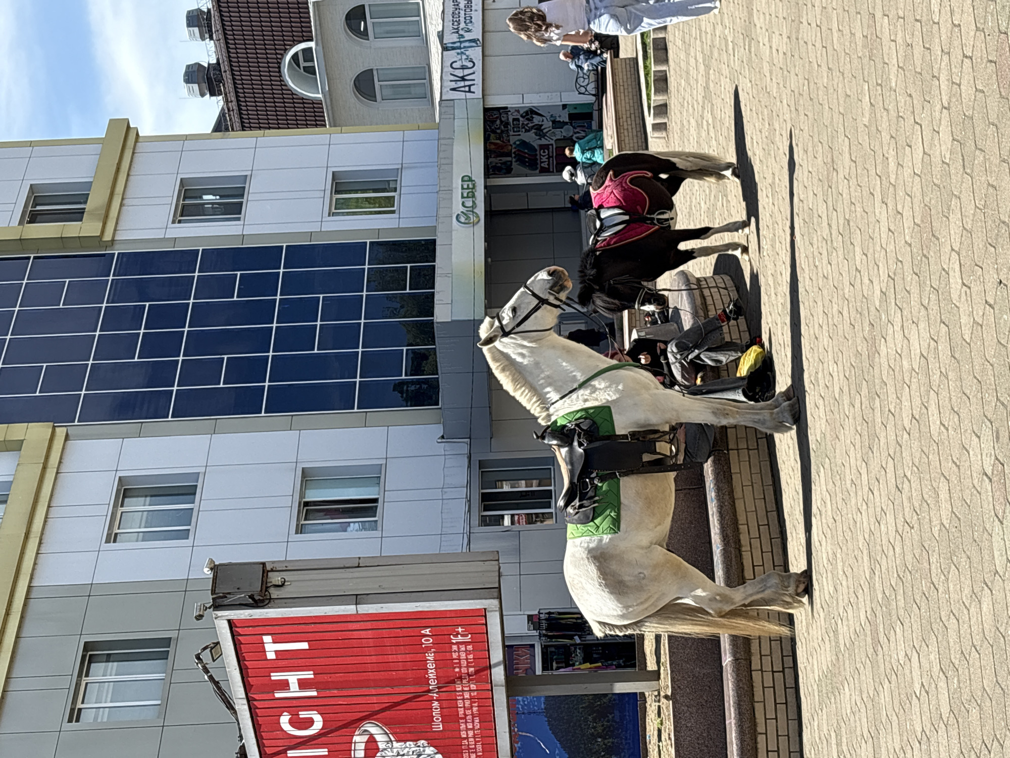 The image shows two horses with saddles standing on a sidewalk in front of a building in Birobidzhan, Russia. The horse closer to the viewer is white, and the other horse is black. A person is standing near the black horse, partially cropped out of the image. Behind the horses is a modern building with a sign that reads "СБЕР" (SBER). Another sign visible includes the text "AKC АКСЕССУАРЫ К сотовым". A red sign with white text reading "IGHT" and "Шолом-Алейхема, 10 А" is also visible. The sidewalk is paved with light-colored hexagonal tiles. The image is taken during daylight with clear sky.