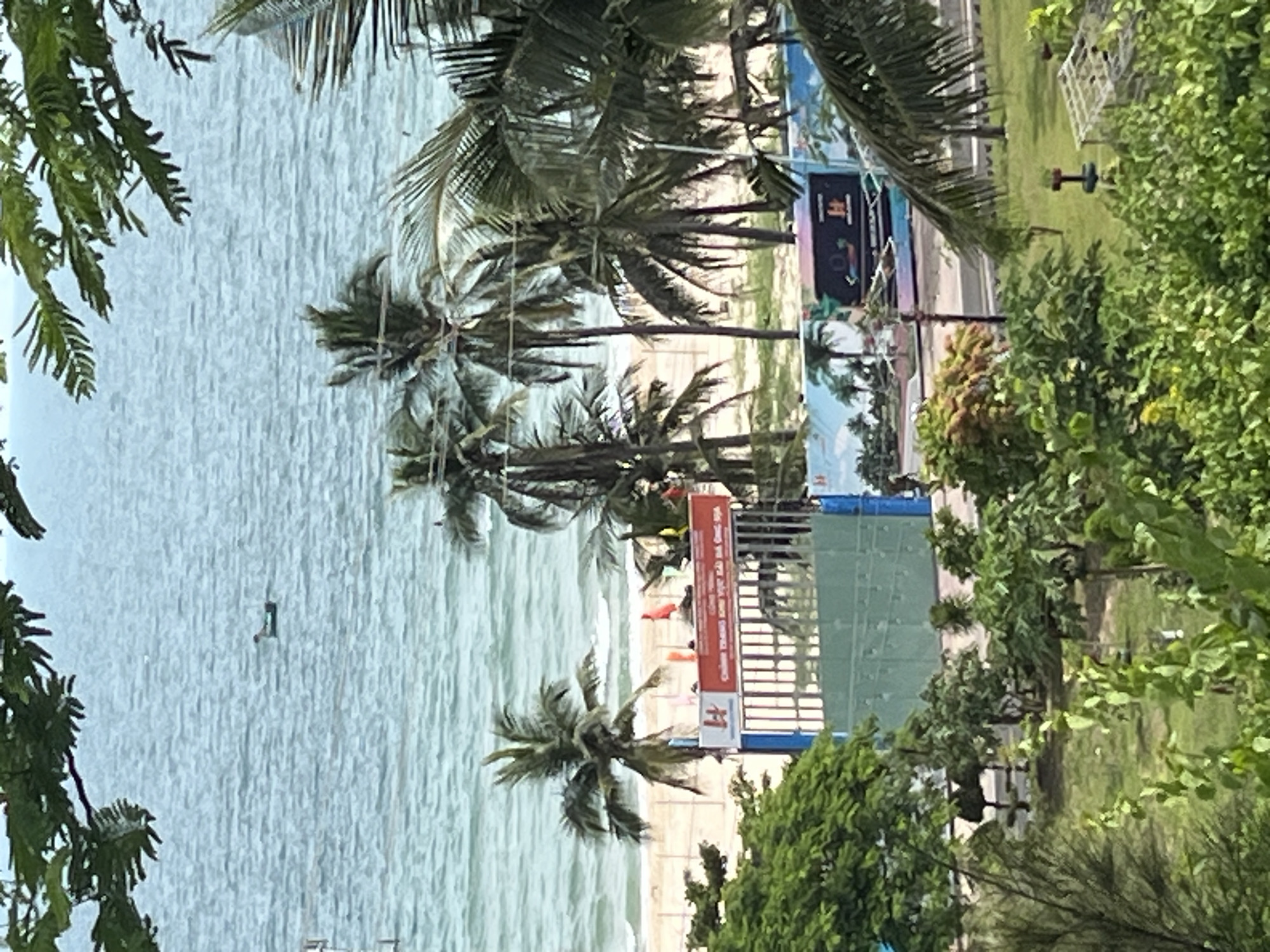 A view of the coast in Phu Thuy Ward, Vietnam, reveals a sandy beach leading to the turquoise ocean. Palm trees are scattered across the landscape, with lush green foliage in the foreground. In the middle ground, a green fence marks the boundary of a property, with a sign bearing Vietnamese text and an emblem. A small boat is visible in the distance on the water. The sky is overcast, and the overall atmosphere is serene and tropical.