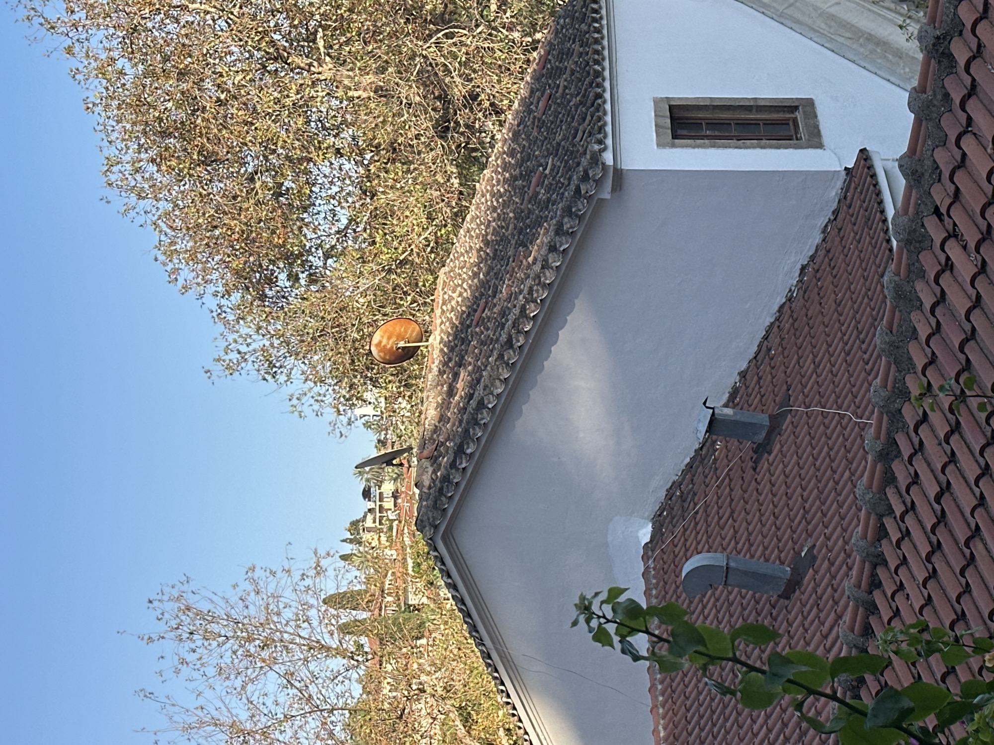 The image shows a rooftop view in Antalya, Turkey. The foreground features two terracotta-tiled roofs. The closer roof has a green plant growing on its left side and two metallic ventilation pipes protruding from it. The further roof is larger and white-walled, with a darker tiled slope. On this larger roof, a rusty satellite dish is visible towards the top. Behind the roofs, a dense canopy of trees with autumn foliage dominates the middle ground, with more trees and buildings visible in the distance, suggesting an urban or semi-urban environment. The sky is clear and blue. There are no people or animals in the frame.