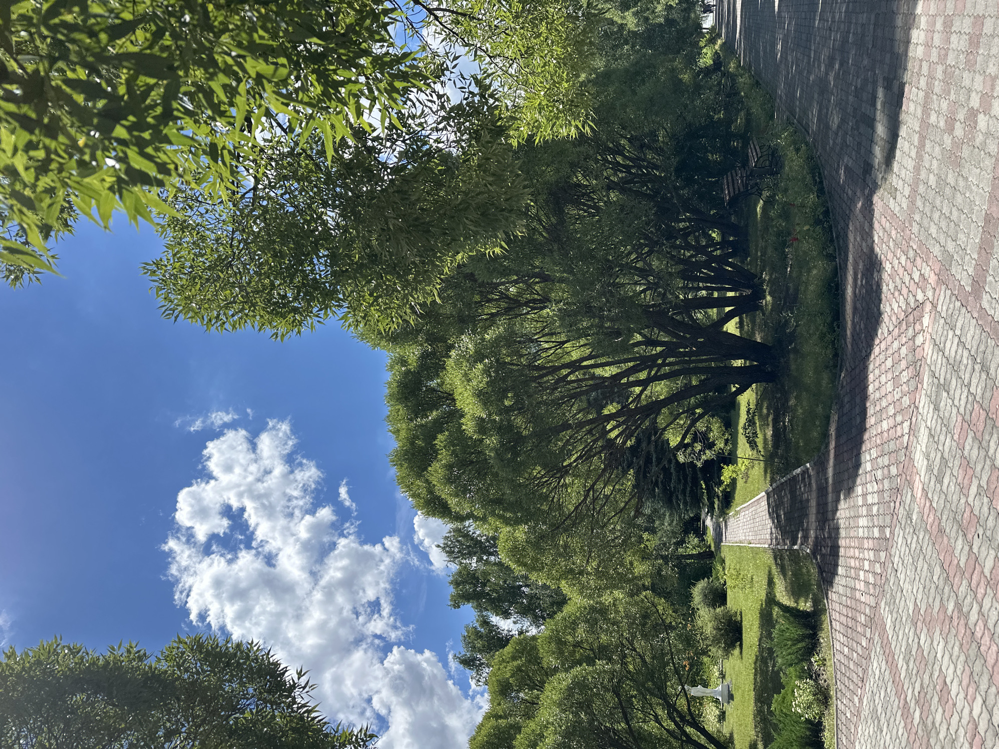 The image depicts a scenic park pathway in Duvankul', Russia, under a bright, partly cloudy sky. Lush green trees line the pathway, their leaves creating a dappled shade on the ground. The pathway itself is paved with interlocking bricks in a pattern of grey and reddish-pink. Sunlight streams through the trees, casting shadows on the path and illuminating the green grass and bushes on either side. In the distance, a park bench can be seen nestled amongst the trees, inviting rest. The overall impression is one of a peaceful, sun-drenched day in a well-maintained park. The time of day appears to be late morning or early afternoon, judging by the angle of the sunlight. The weather is pleasant, with a mix of sun and clouds. No people are visible in the frame, suggesting a quiet moment in the park. There is no visible text in the image.