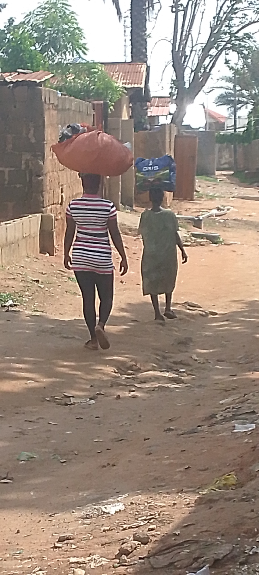 The image depicts two individuals walking away from the camera on a dirt road in what appears to be a village or rural area. The setting features rudimentary structures with corrugated metal roofs and brick walls, suggesting a developing urban or semi-urban environment. Trees with sparse foliage are visible, indicating a dry climate or season. The ground is uneven and dusty, with scattered debris.
The person in the foreground is a woman wearing a horizontally striped t-shirt with black, white, and pink stripes, and dark leggings. She is carrying a large, round, reddish-orange bundle on her head. The woman behind her is wearing a loose-fitting, knee-length, green dress and is also carrying a blue bag with "ORIS" visible in white text on its side, balanced on her head.
The lighting suggests it is daytime, possibly late morning or early afternoon, given the shadows cast on the ground. The overall impression is one of daily life and labor, with the individuals engaged in the task of transporting goods. The image is taken from a slightly elevated perspective, looking down at the road. No specific emotional cues are discernible due to the distance and posture of the subjects. The scene is consistent with a location in Jalingo, Nigeria, characterized by its rural architecture and dusty terrain.