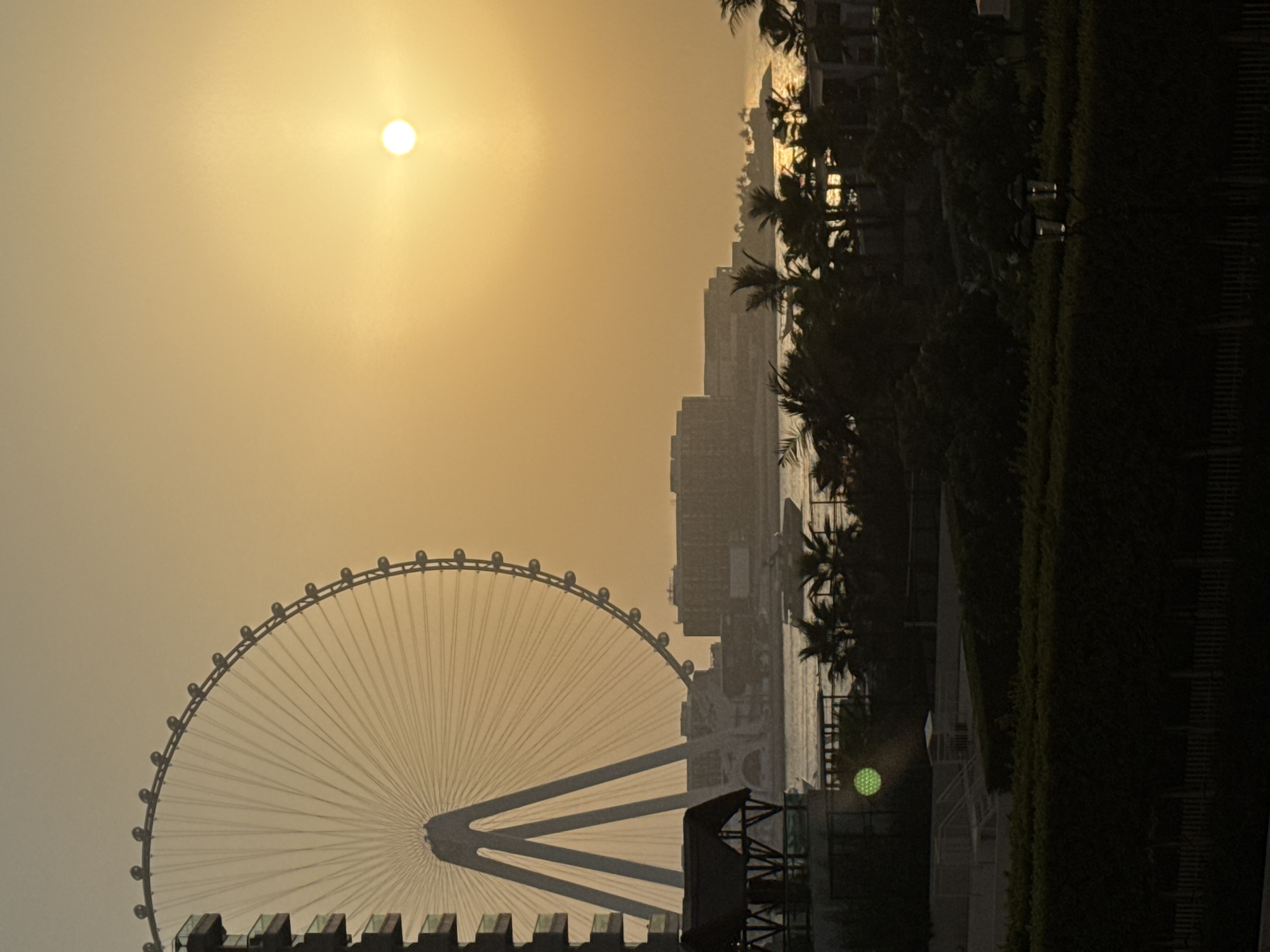 The image depicts a sunset scene with the Ain Dubai observation wheel prominently featured on the left. The Ferris wheel, partially silhouetted against the hazy orange sky, is a massive structure with numerous spokes radiating from its center and a circular rim with pods. To the right, the sun is a bright, diffused orb in the upper right portion of the frame, casting a warm glow across the sky.
In the mid-ground, a body of water, likely the Persian Gulf, stretches across the scene. A yacht is visible on the water, creating a subtle wake. Along the waterfront, several buildings, appearing as dark masses due to the lighting, line the horizon. Some are rectangular and modern, while others have a more stepped or tiered architectural style. Palm trees are scattered throughout the landscape, with their silhouettes visible against the water and sky.
The foreground is dominated by dark, dense foliage, obscuring much of the ground level. A low hedge runs across the bottom of the image. In the lower right corner, two lampposts are visible, their light fixtures illuminated, adding a touch of artificial light to the fading daylight. A green circular light or reflection is visible in the mid-left foreground, potentially from a light fixture or a window.
The overall impression is one of a coastal urban landscape at dusk, with a focus on iconic Dubai landmarks and the natural beauty of the sunset. The location is likely Dubai Marina or Jumeirah Beach Residence, given the presence of Ain Dubai and the characteristic architecture.