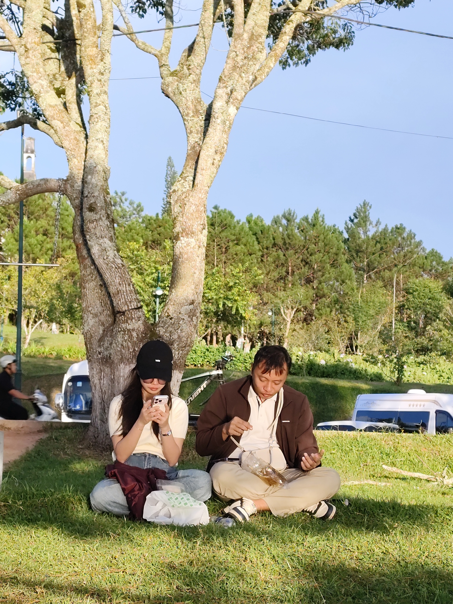 This is a photograph of two individuals sitting on the grass in what appears to be a park in Da Lat, Vietnam. The scene is dominated by a large, mature tree with rough, textured bark, its branches reaching upwards and casting shadows on the ground.
The subjects are a woman and a man. The woman is seated on the left, facing slightly towards the right, wearing a cream-colored short-sleeved top, blue jeans, and a black baseball cap. She is holding a smartphone in her hands and appears to be looking at it. Next to her, on the grass, is a maroon-colored piece of clothing and a white plastic bag containing some items.
The man is seated on the right, facing left, and appears to be interacting with a clear plastic bag containing food. He is wearing a light-colored collared shirt underneath a brown zip-up jacket and khaki-colored pants. He has black and white athletic shoes.
The environment is a grassy area with a clear blue sky above. In the background, a dense line of pine trees forms a natural backdrop. Further behind the trees, a white recreational vehicle (RV) or camper van is visible, along with another white vehicle that appears to be a minivan or small bus. To the far left, a person on a scooter can be seen riding past. The overall impression is a casual outdoor setting, likely a tourist spot in Da Lat.